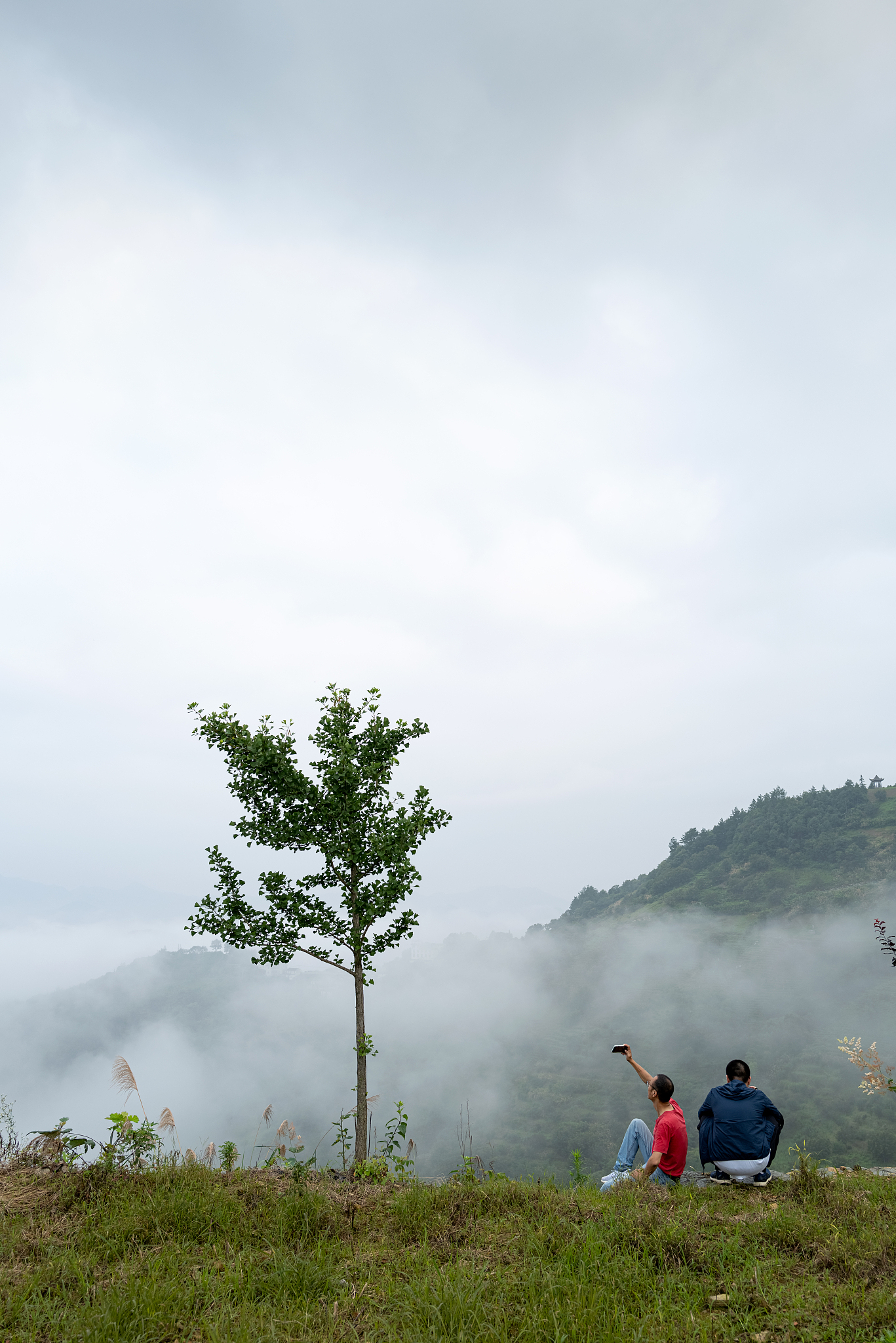 一颗树旁的草地上看山谷云景的两个男人