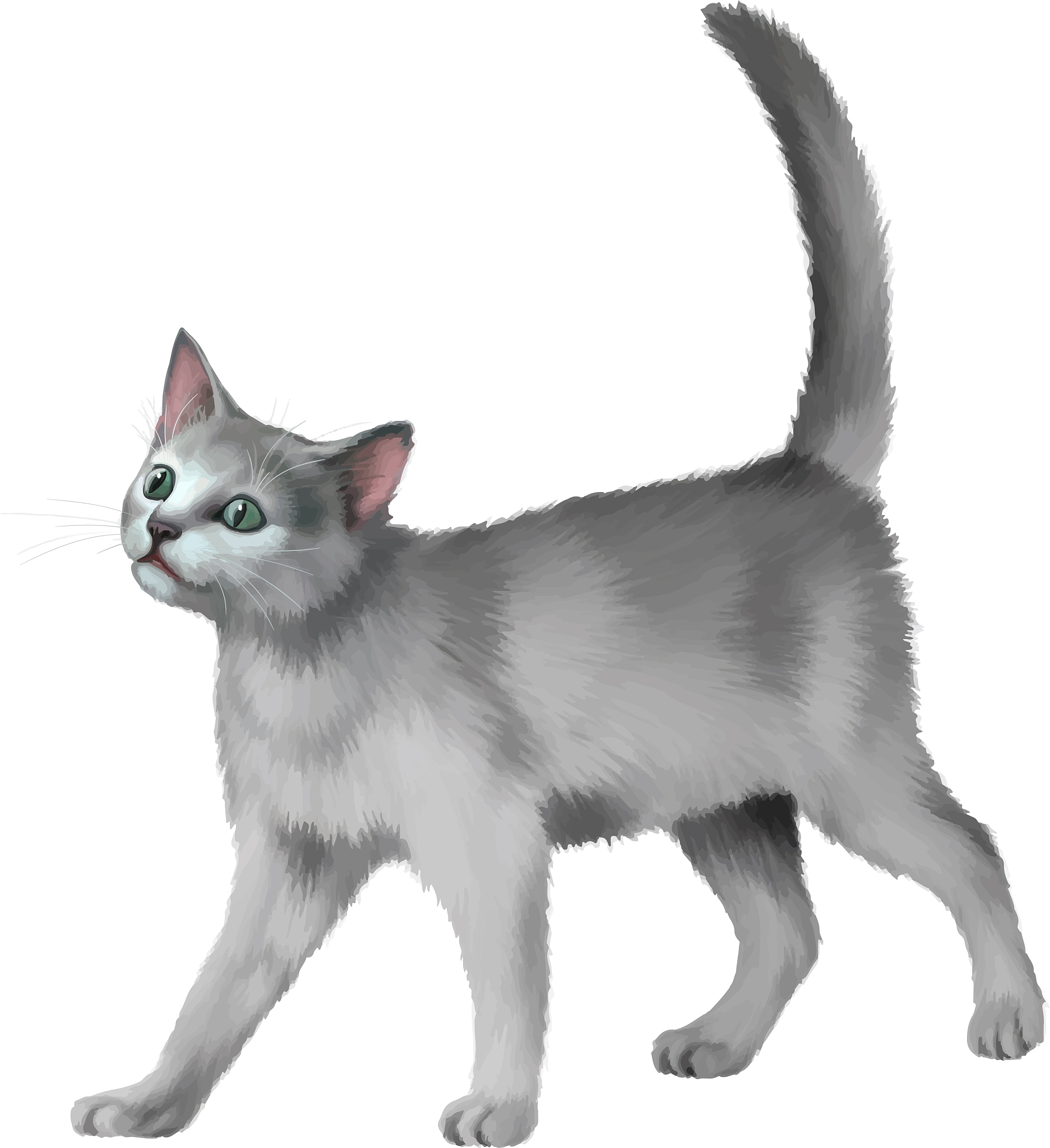 write poem about cat in petrol