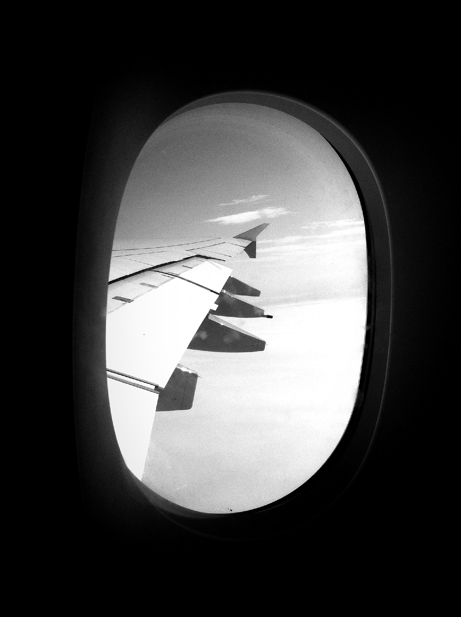 aircraft wing seen through window