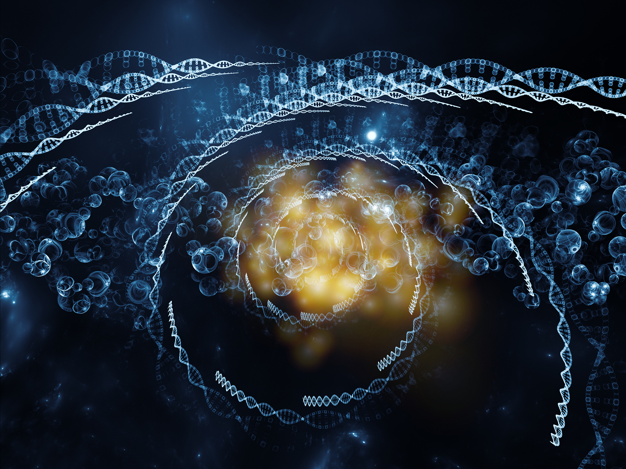 propagation of dna