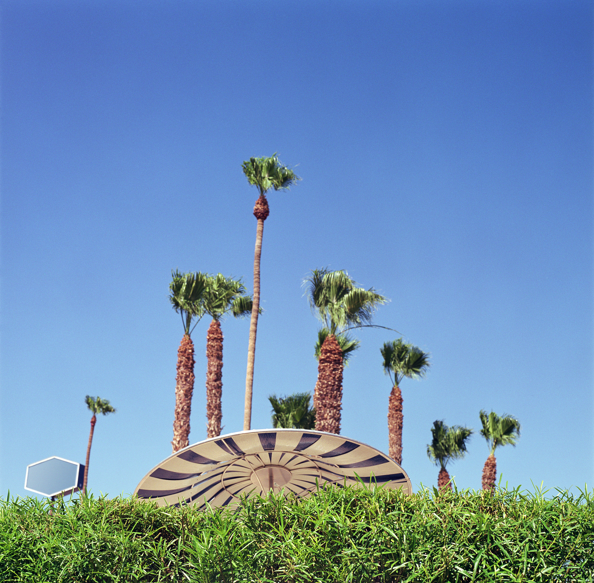 今天到楚雄市太阳历公园的游记