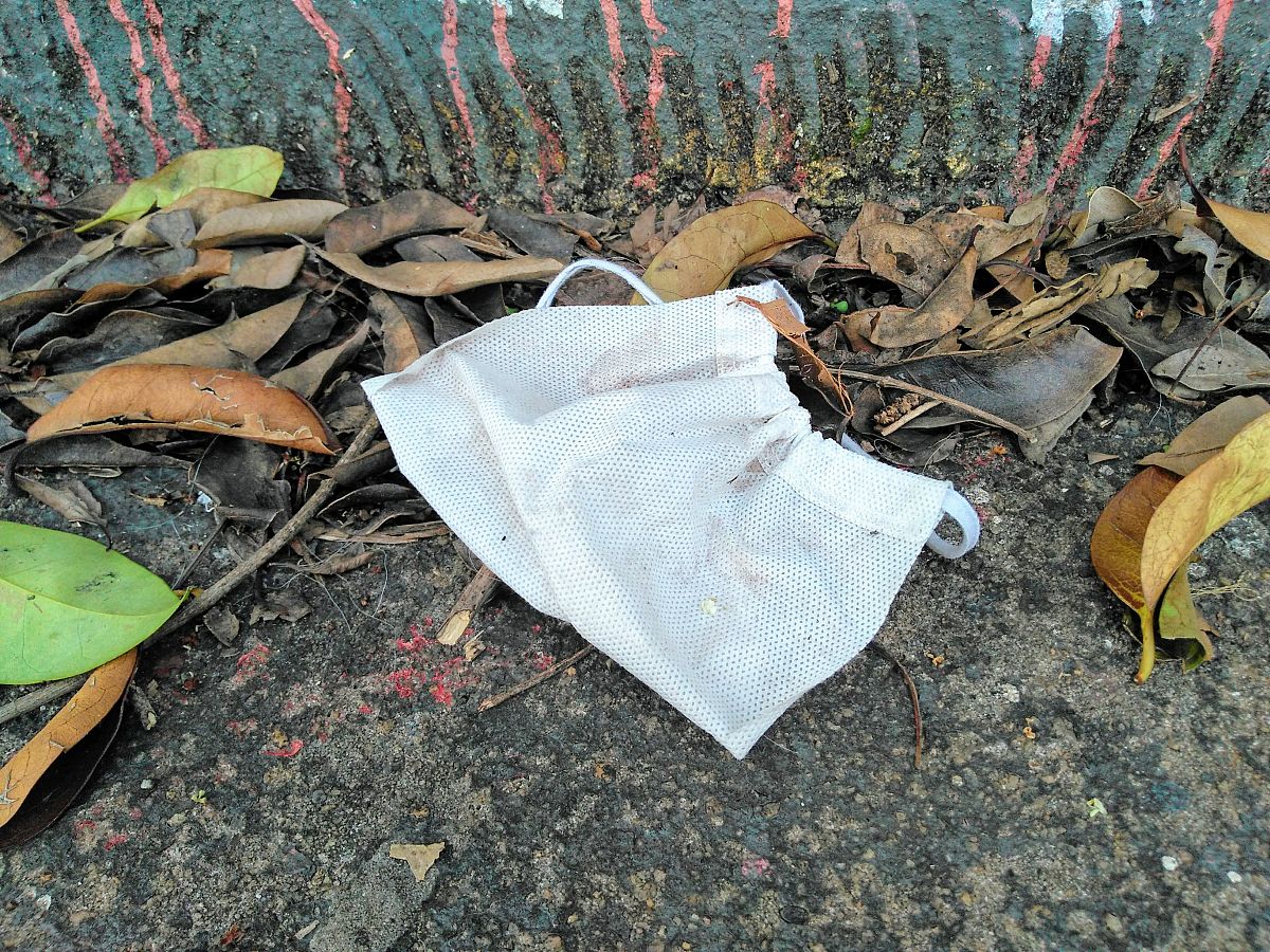 写一篇论文《冰雹对苹果的影响》