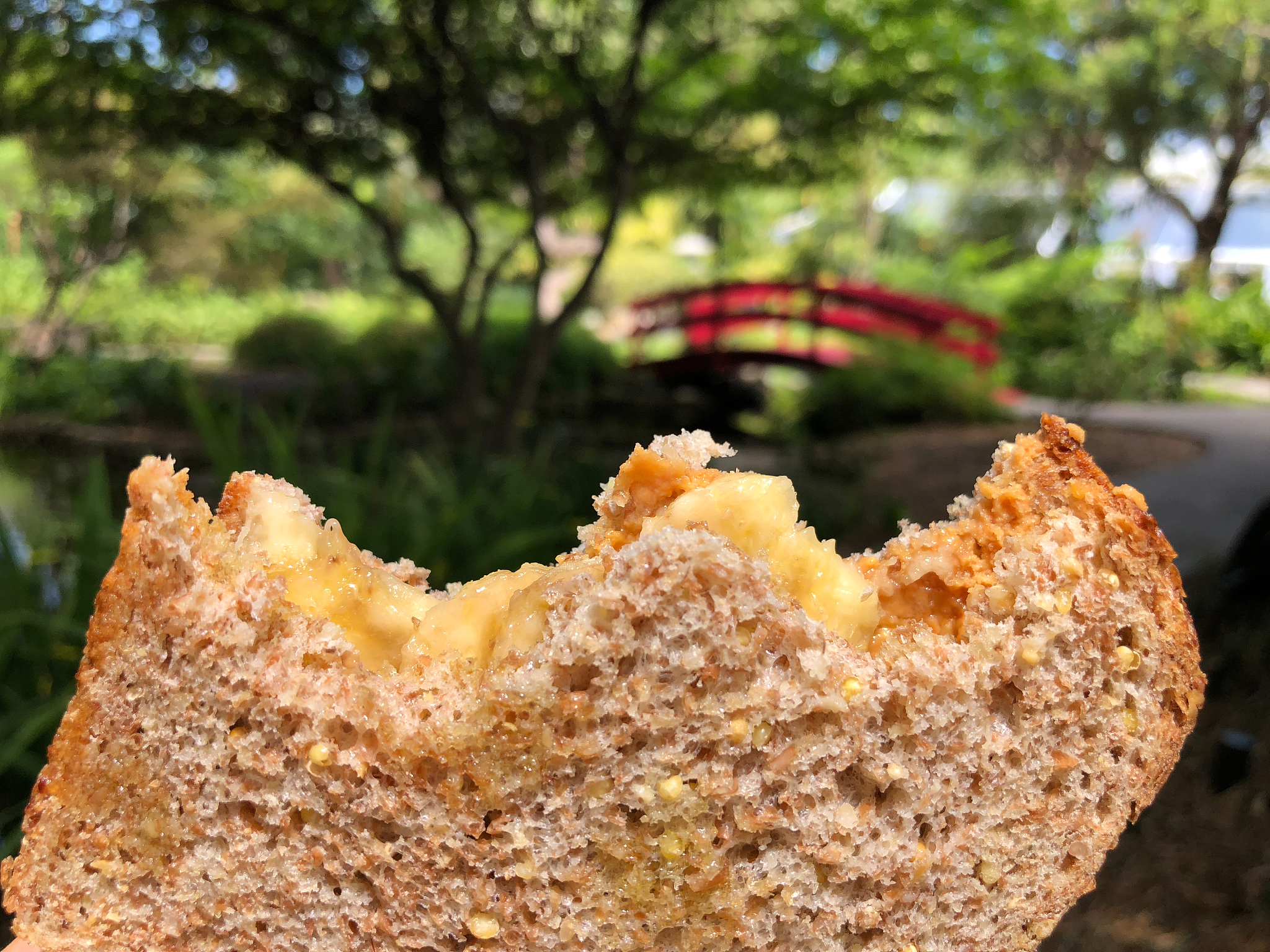 peanut butter and banana sandwich outdoors