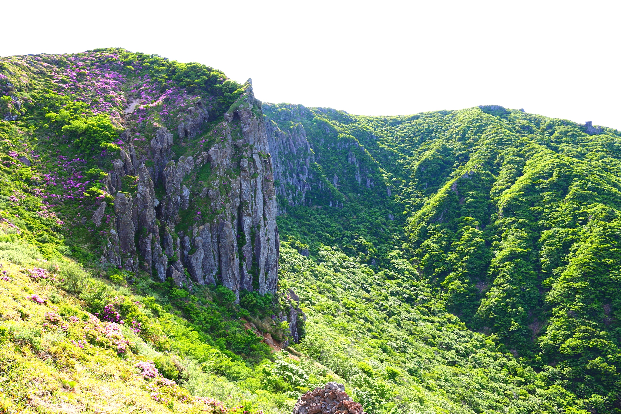 hallasan, mountain, mountain, mountain, forest, mountain, forest