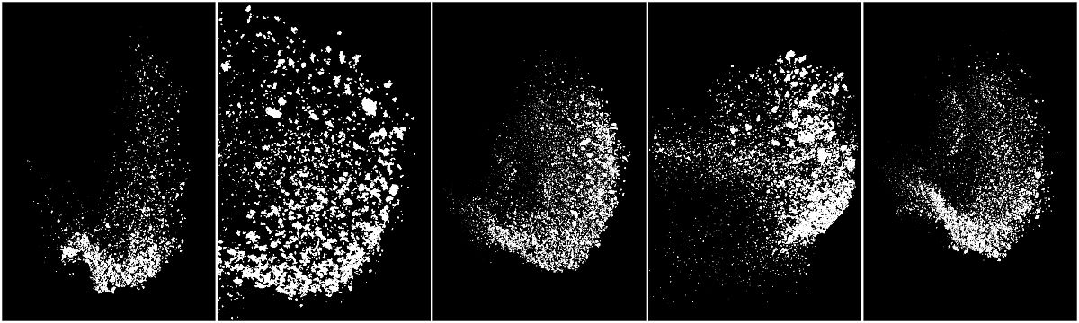 润色下面的中文表述使其表达更加简洁、逻辑性强、学术化符合中文论文风格。针对第二章中利用Hough直线检测与G-R颜色分量差值法所得到的采样区域马铃薯冠层分割结果我们可获得采样区域的4个角坐标建立采样区域的最小正外接矩形假定校正后的图像边长长度为最小正外接矩形的长边长度依据4个角坐标的对应关系构建透射变换矩阵最终完成了马铃薯冠层图像的校正图4-2b。