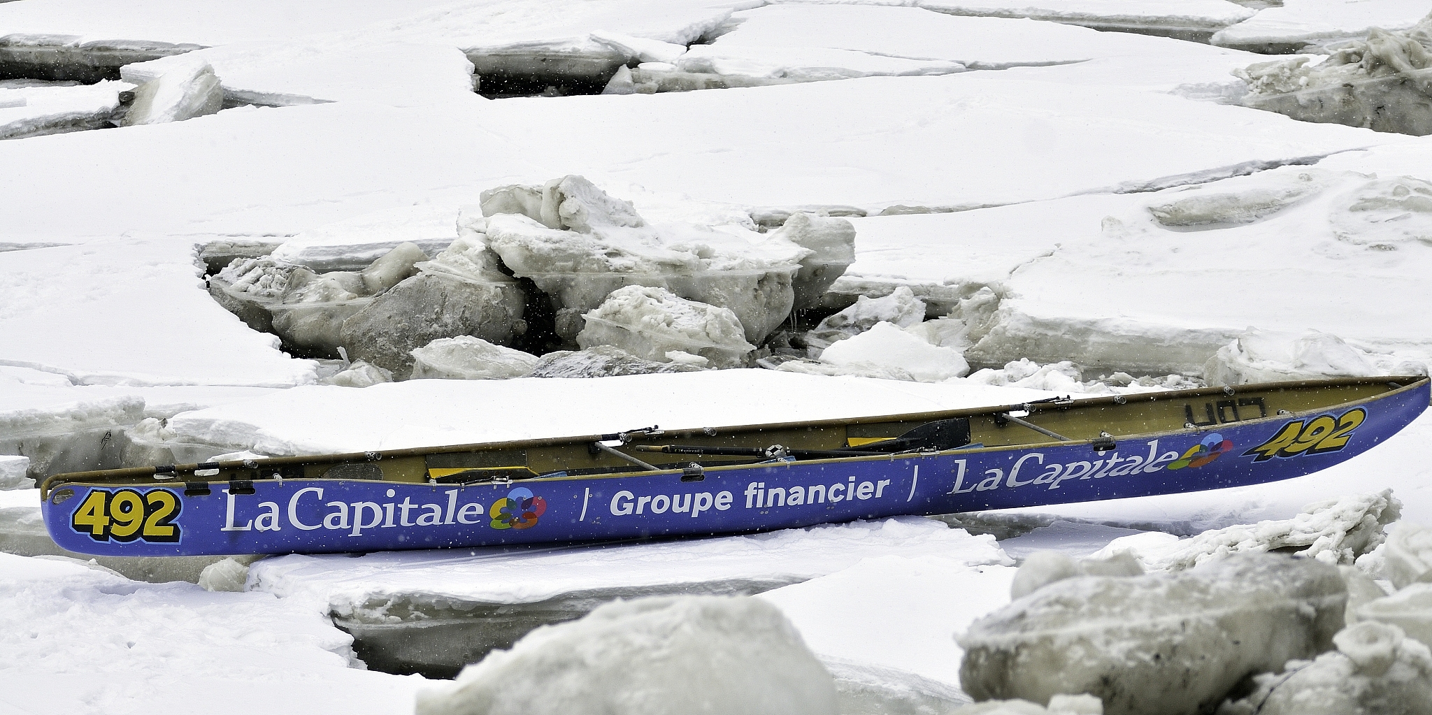 请优化以下论文的前言部分优化得更具有逻辑性和学术性Winter wheat faces not only the challenge of water conservation but also the need to cope with increasing climate change According to Ray et al 2015 more than 60 of yield vari