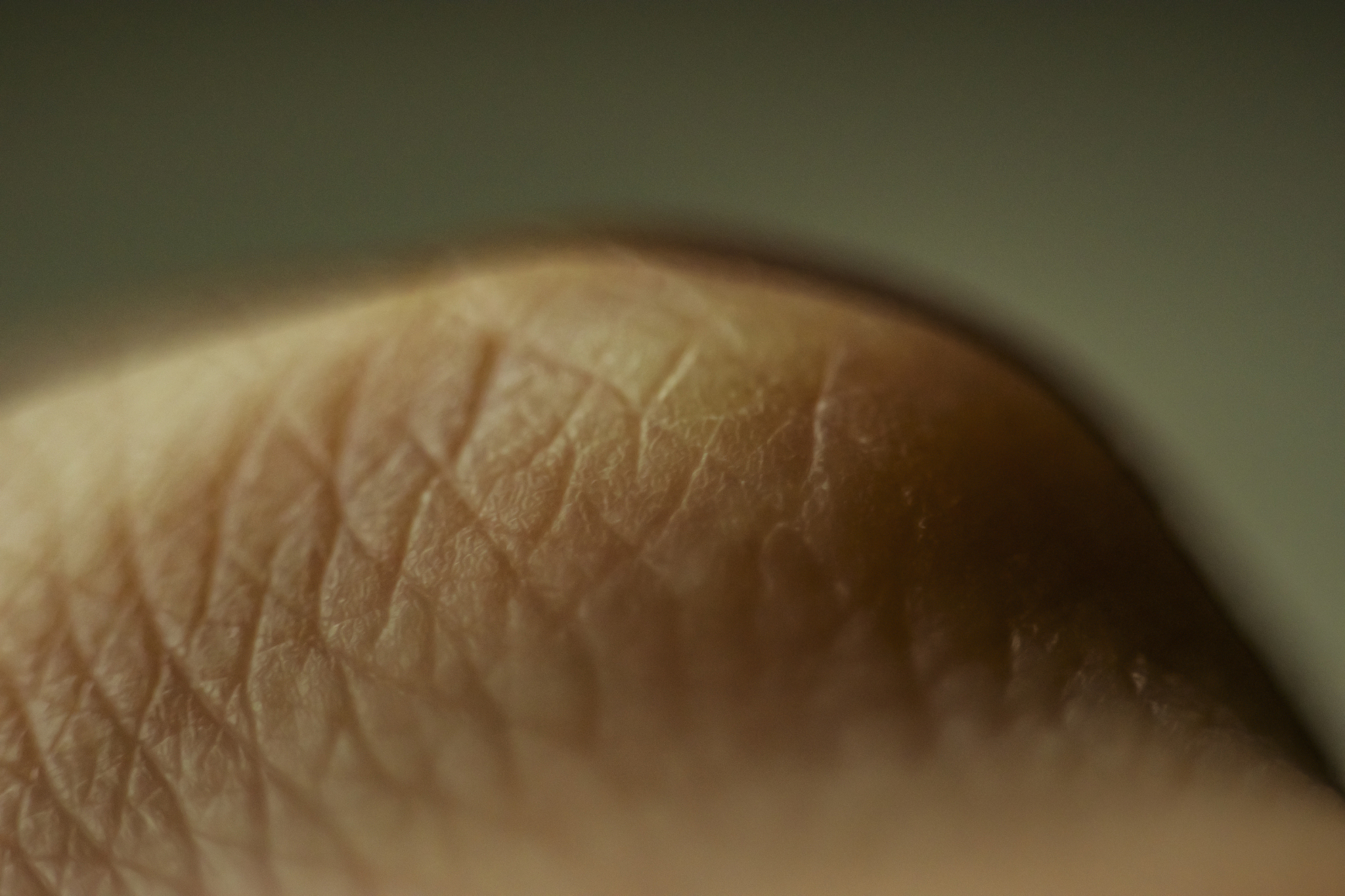 macro photos