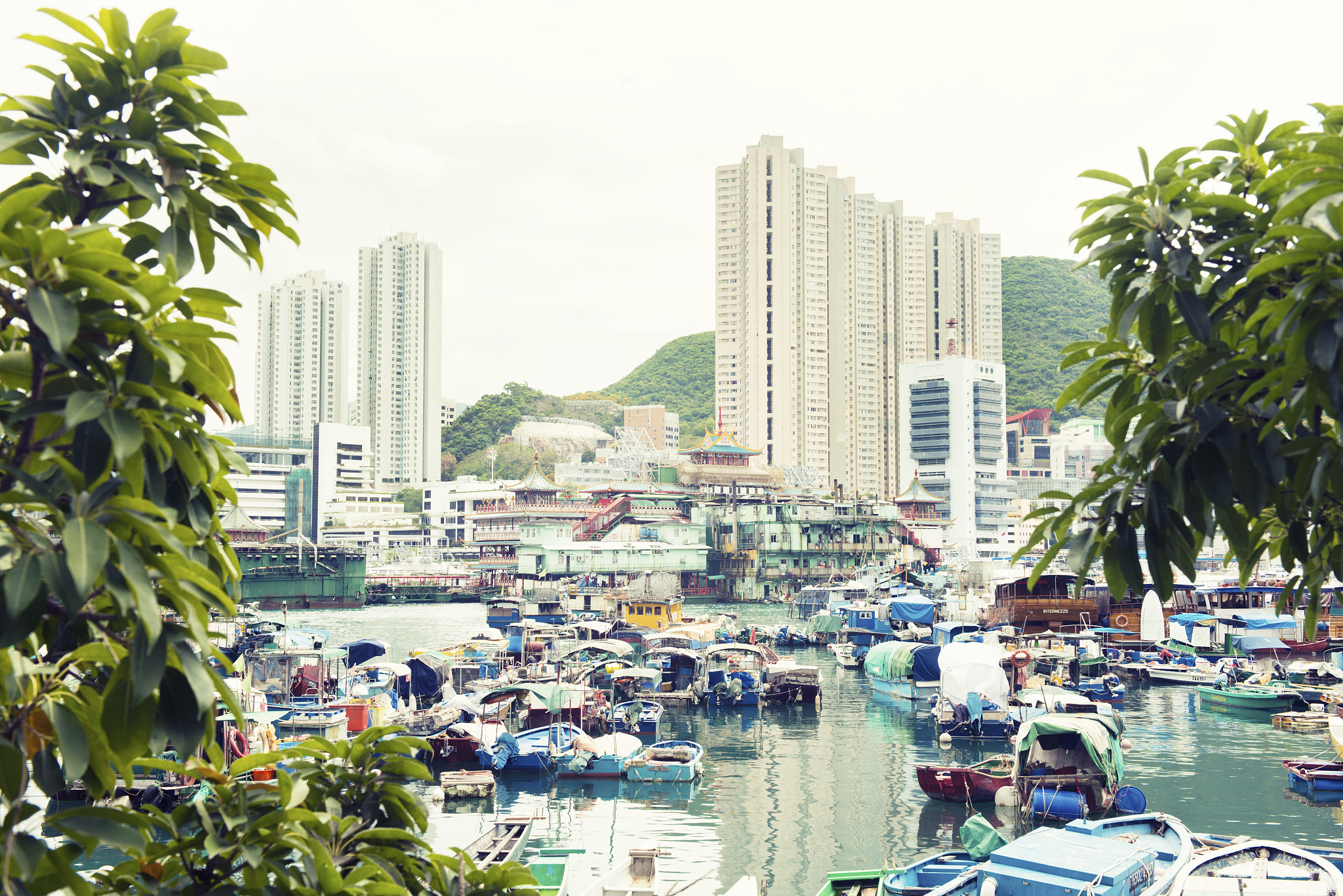 traditional boats docked in aberdeen harbour hong kong