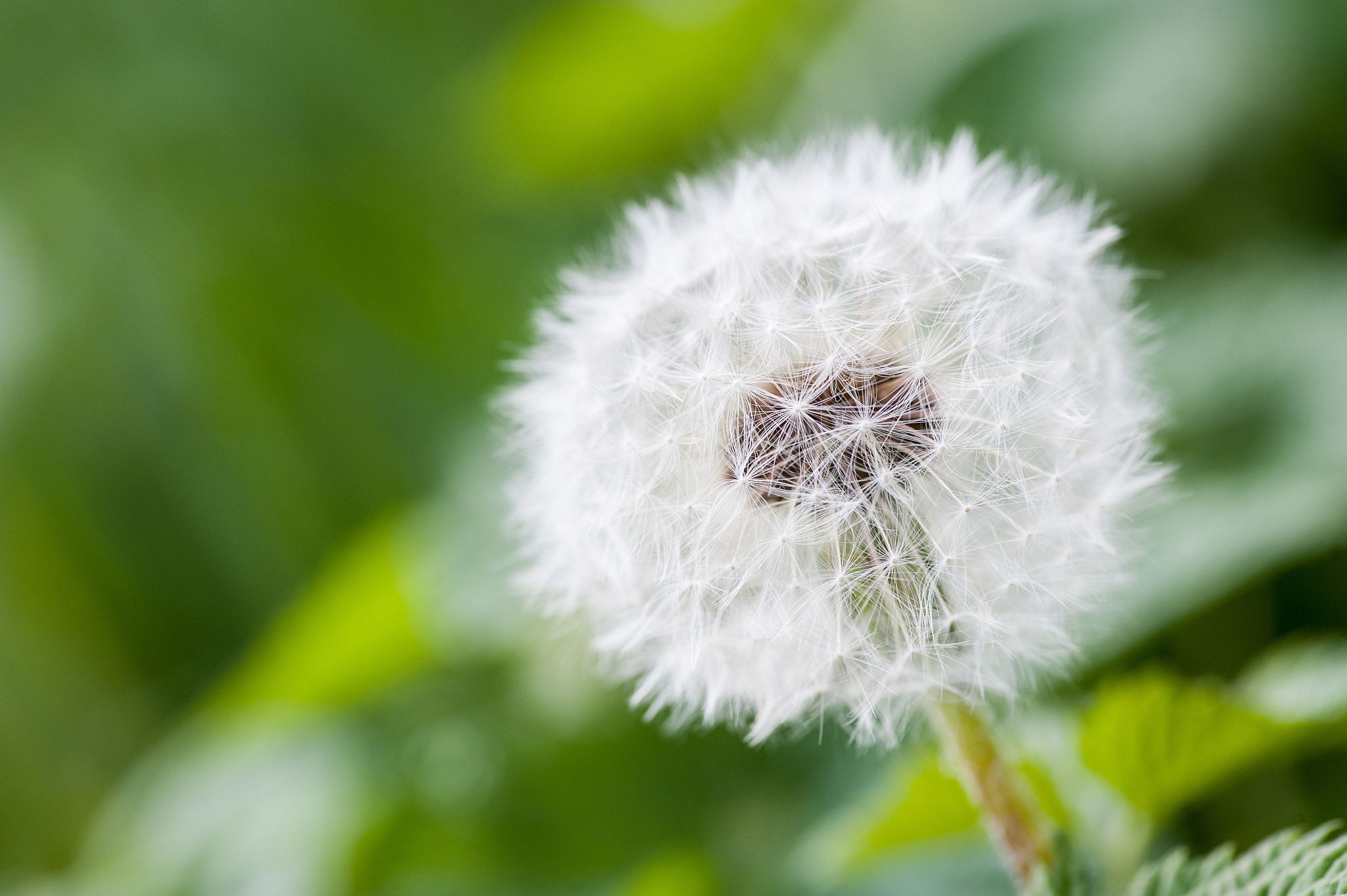 玉溪农业职业技术学院种子生产与经营专业怎么样