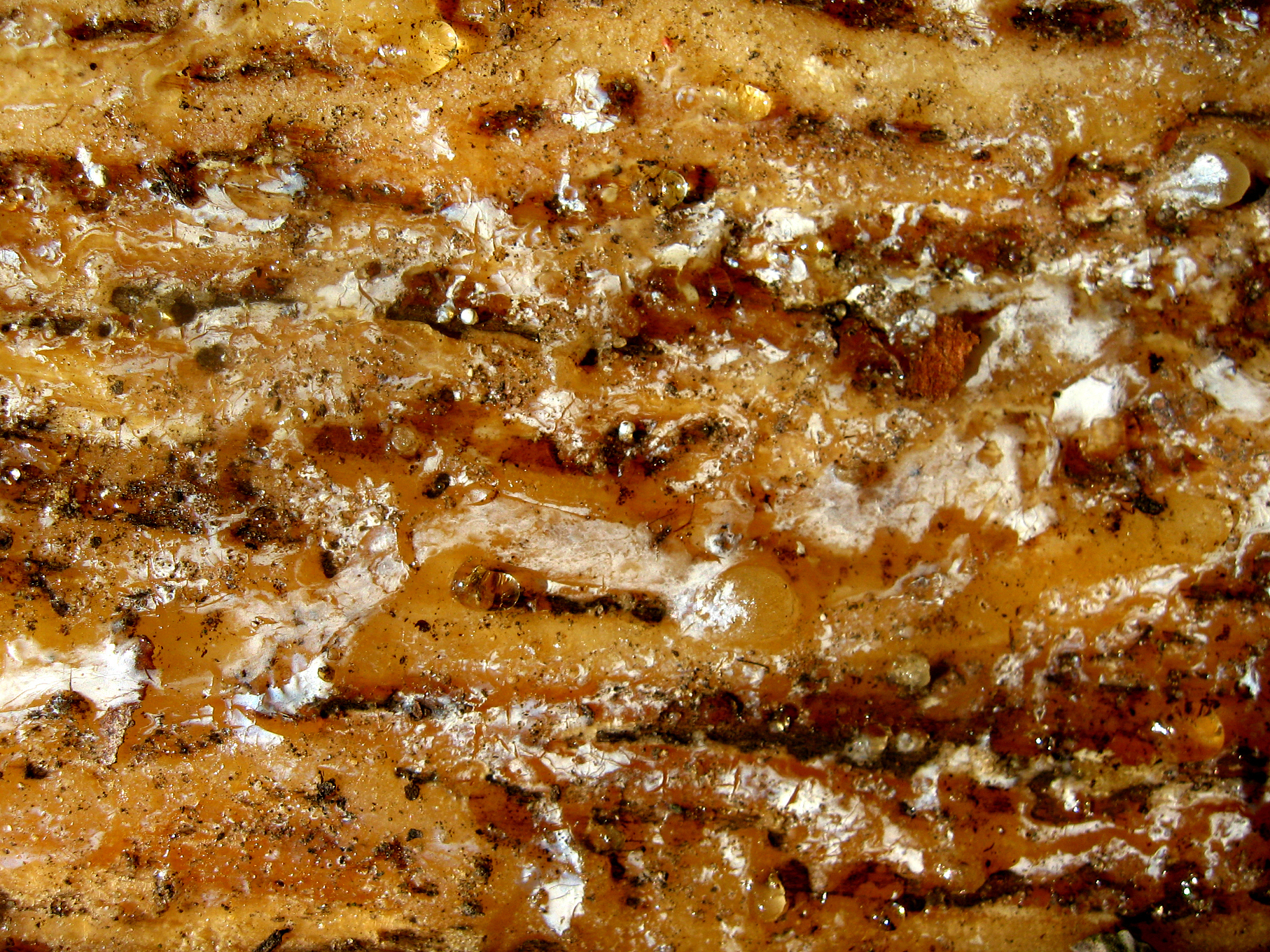 rosin organic texture