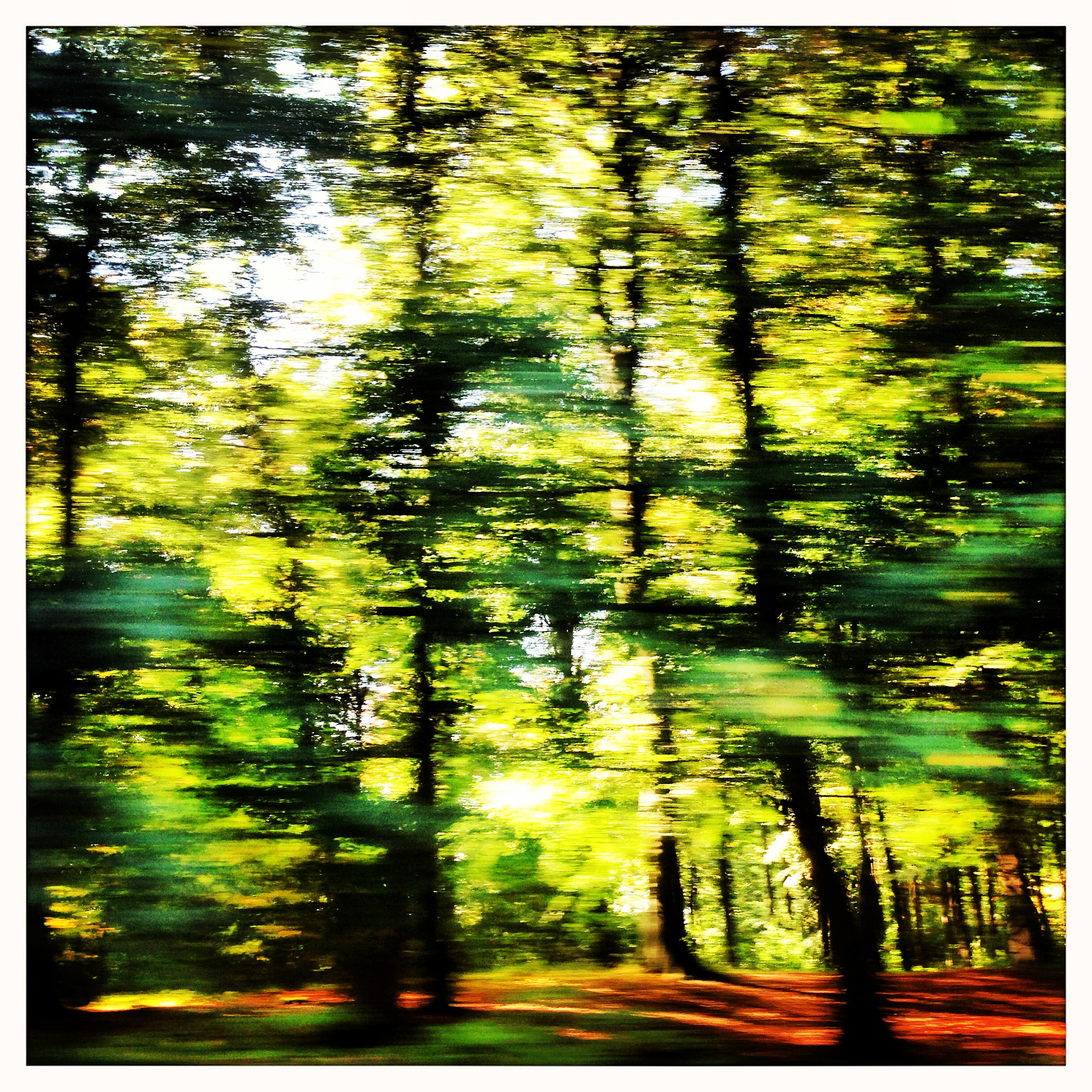 以营销的方式介绍一款以绿色城市为主题的名字为移动森林的雨伞要求说明制作理念产品性能与材料制作工艺以及最后的总结要求字数1000字