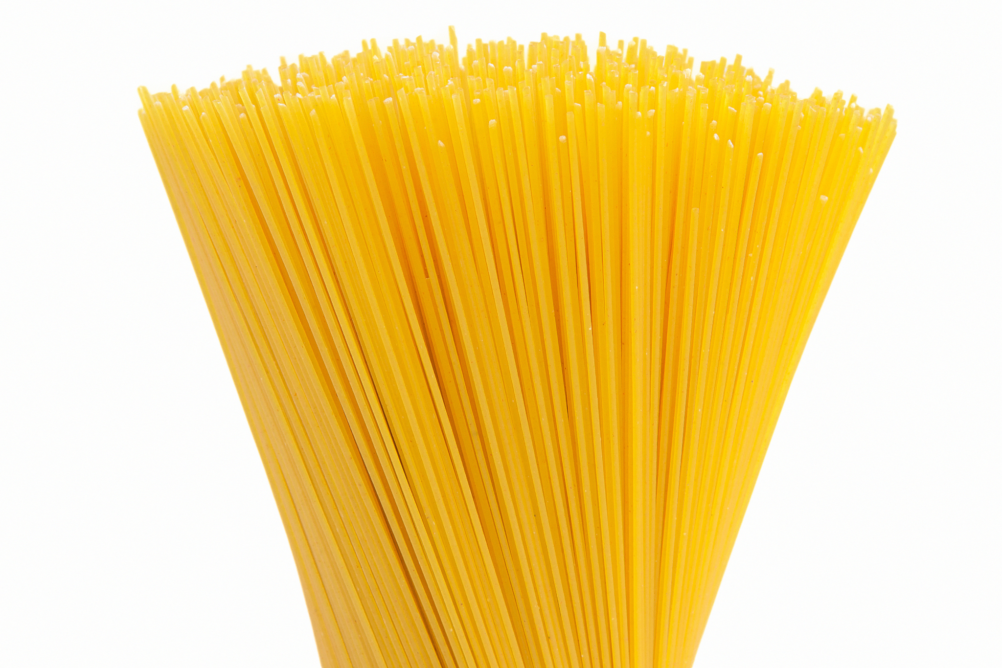 bunch of spaghetti