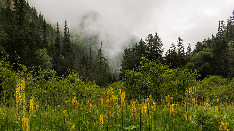 四川省会理现代职业技术学校旅游服务与管理专业就业方向有哪些