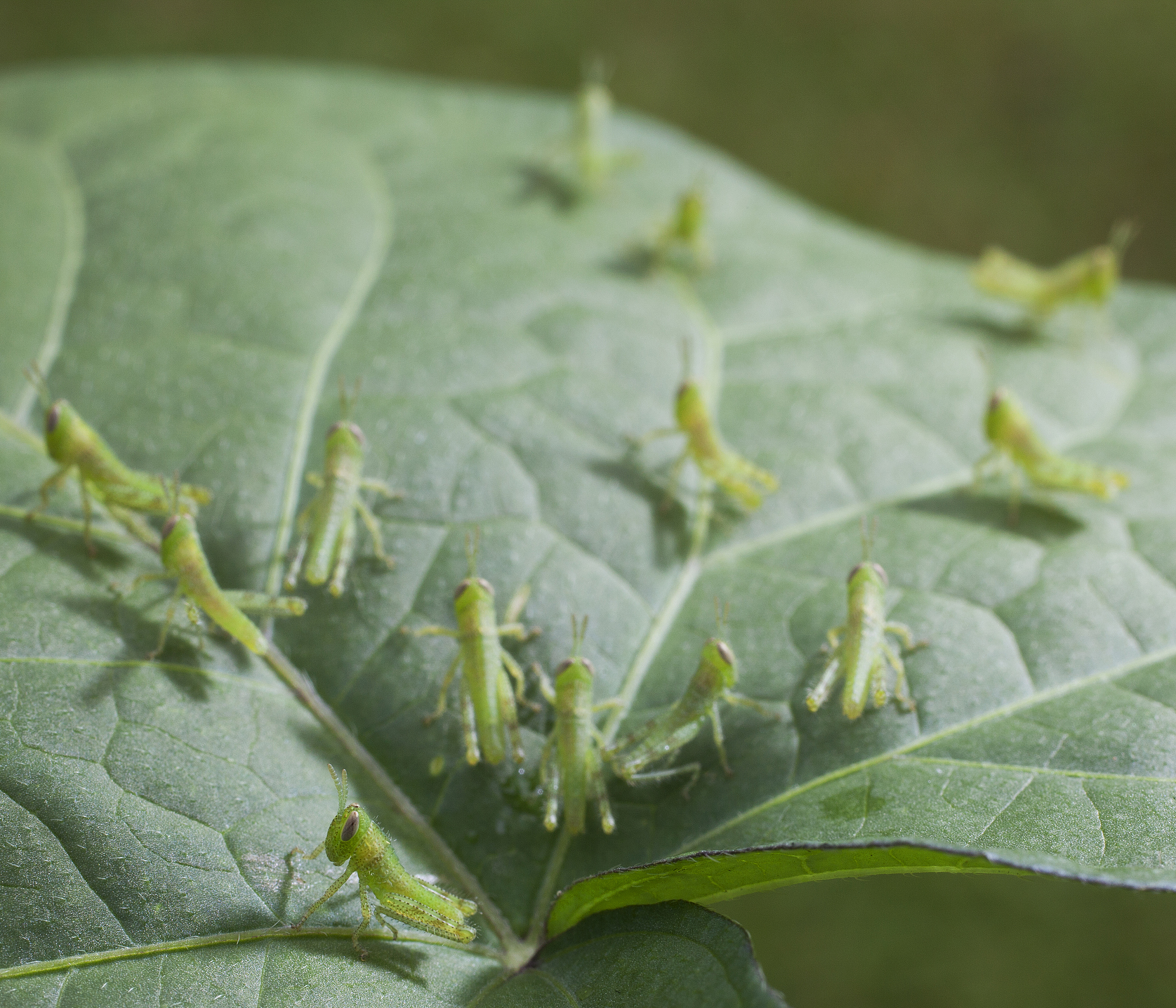 what is toxic behavior