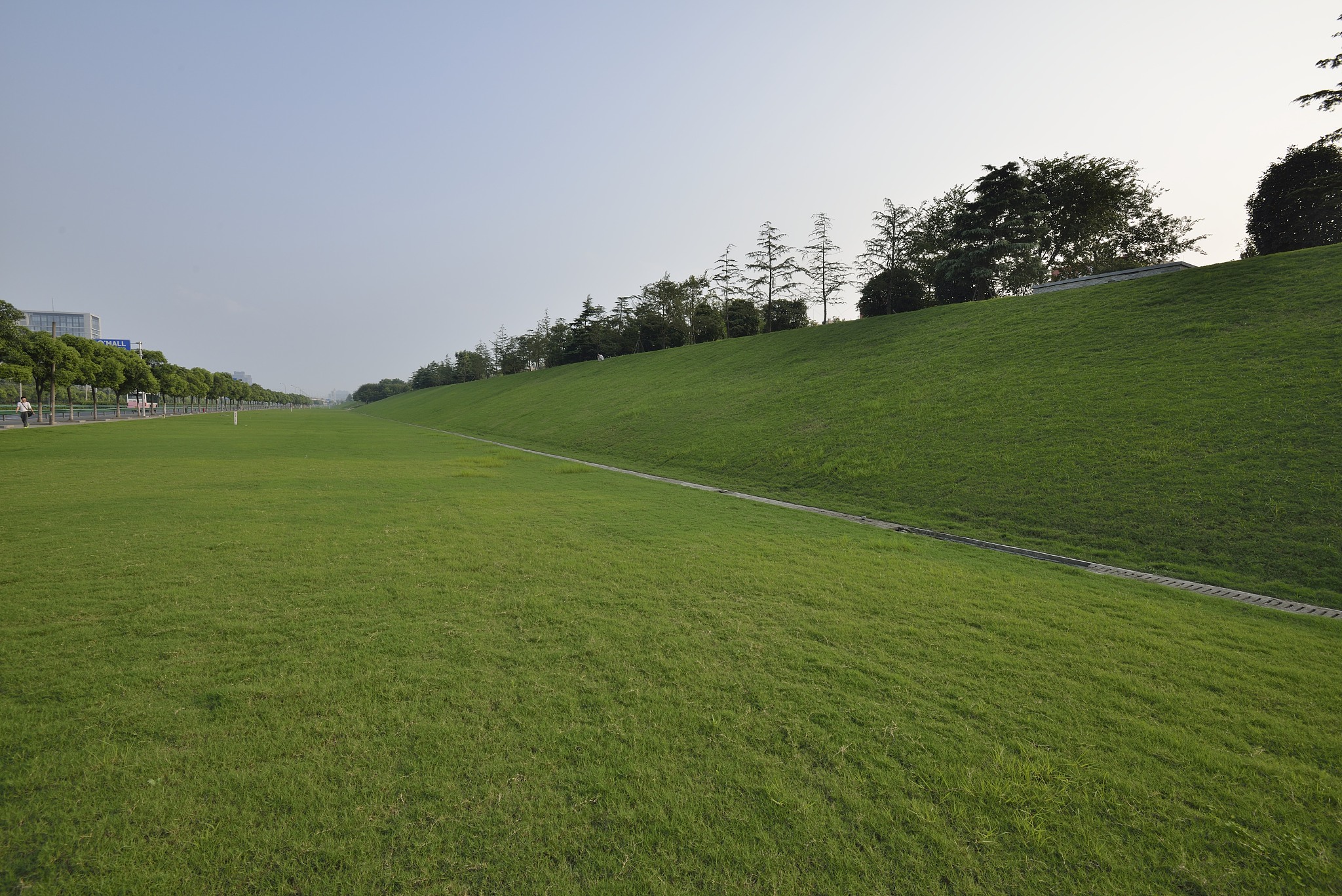 信阳市羊山新区草坪质量评价及杂草防治研究