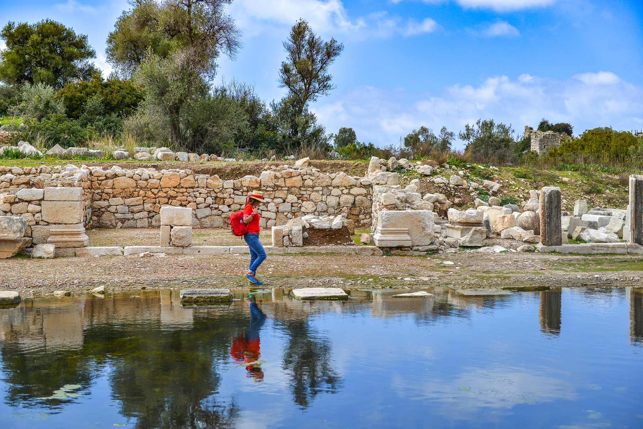 春游感悟：友谊、知识与自然的力量