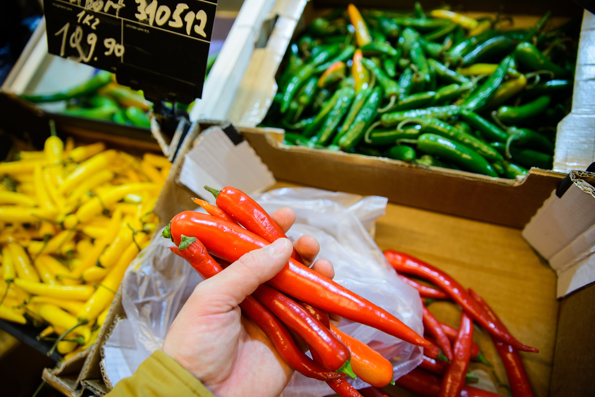 第一人称详解：定义、例句及用法