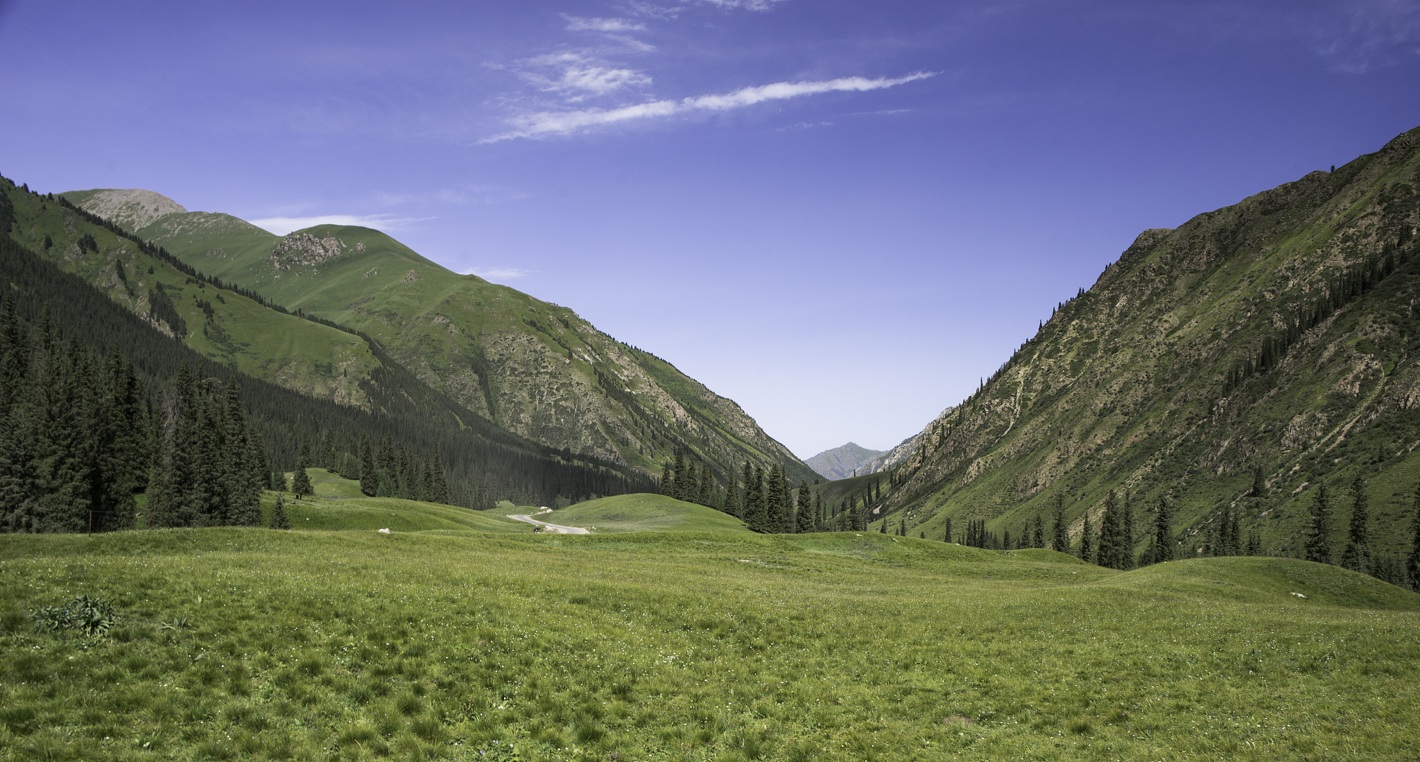 写一篇中国联通公司伊犁哈萨克自治州分公司在组织专项培训，提高财务会计人员工作效率的措施。