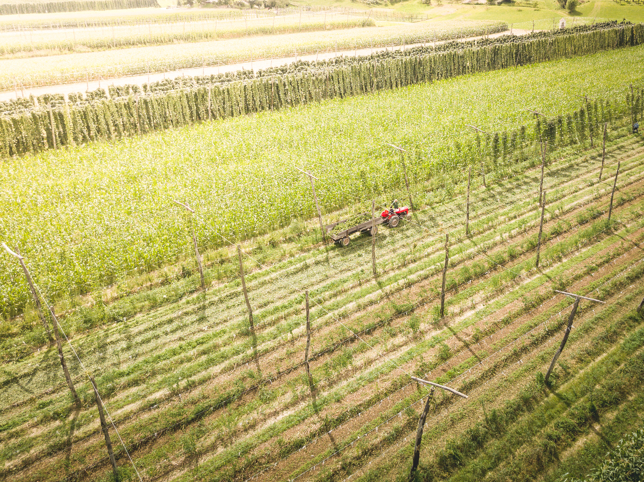 国有农场财务核算研究背景及意义