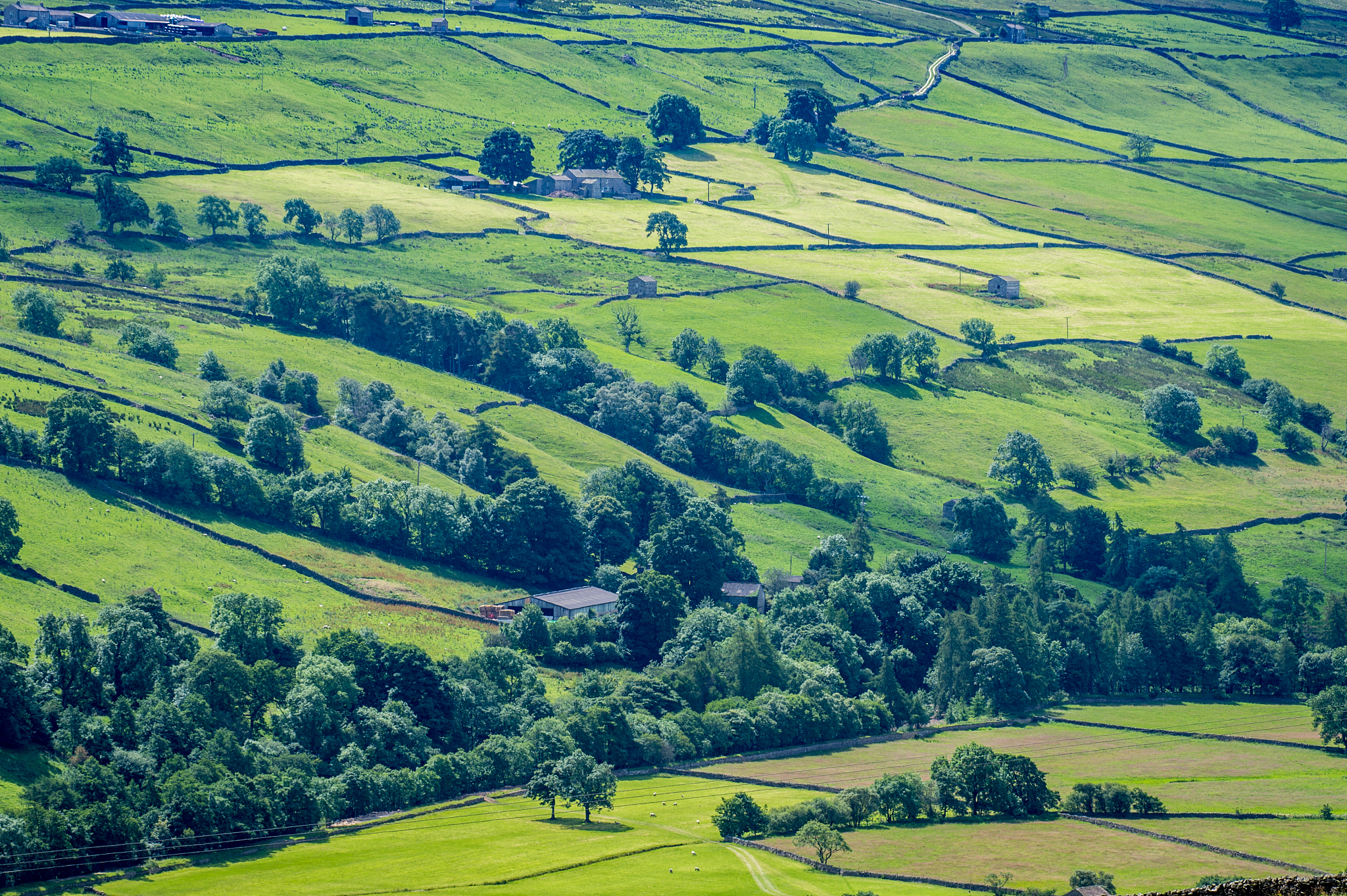 rolling farmland