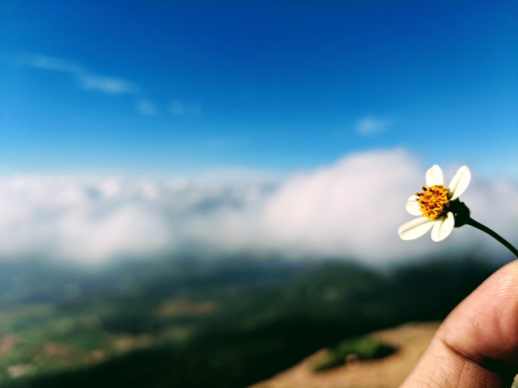 以用正能量的眼光看待世界让自己更加开阔和豁达为题写一篇1200字文章