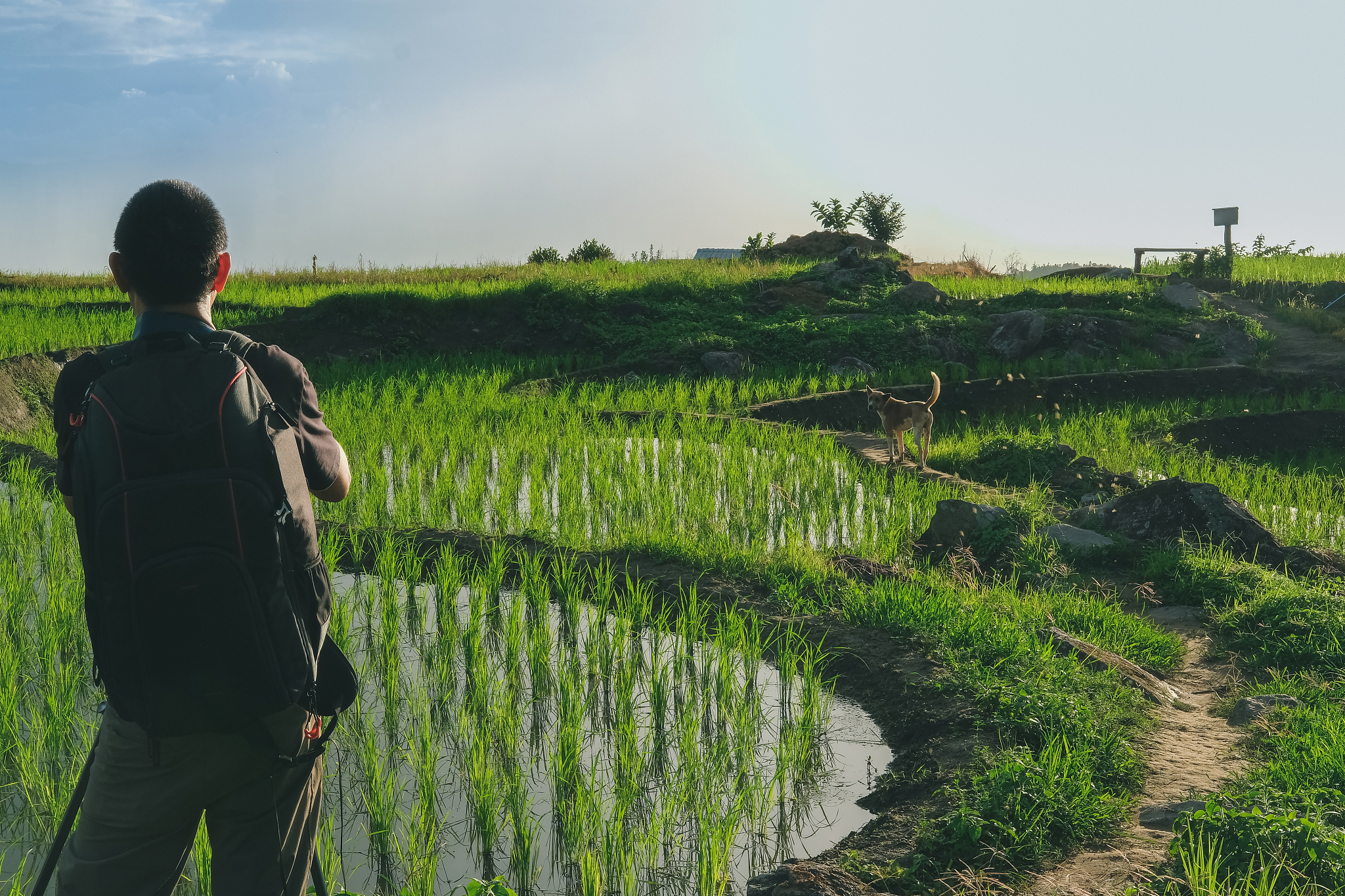 曲靖农业学校2019年五年一贯制大专招生报名：开启农业梦想之旅
