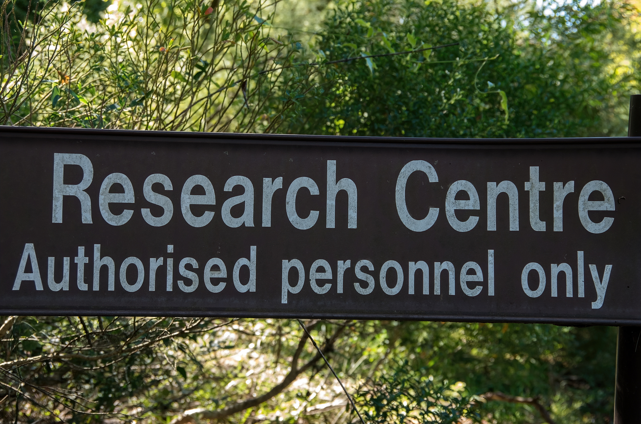 Imagine you are going to write a letter for the students who are going to be enrolled by NEFU in 2023 Give suggestions for these incoming freshmen to help them prepare for the upcoming university life