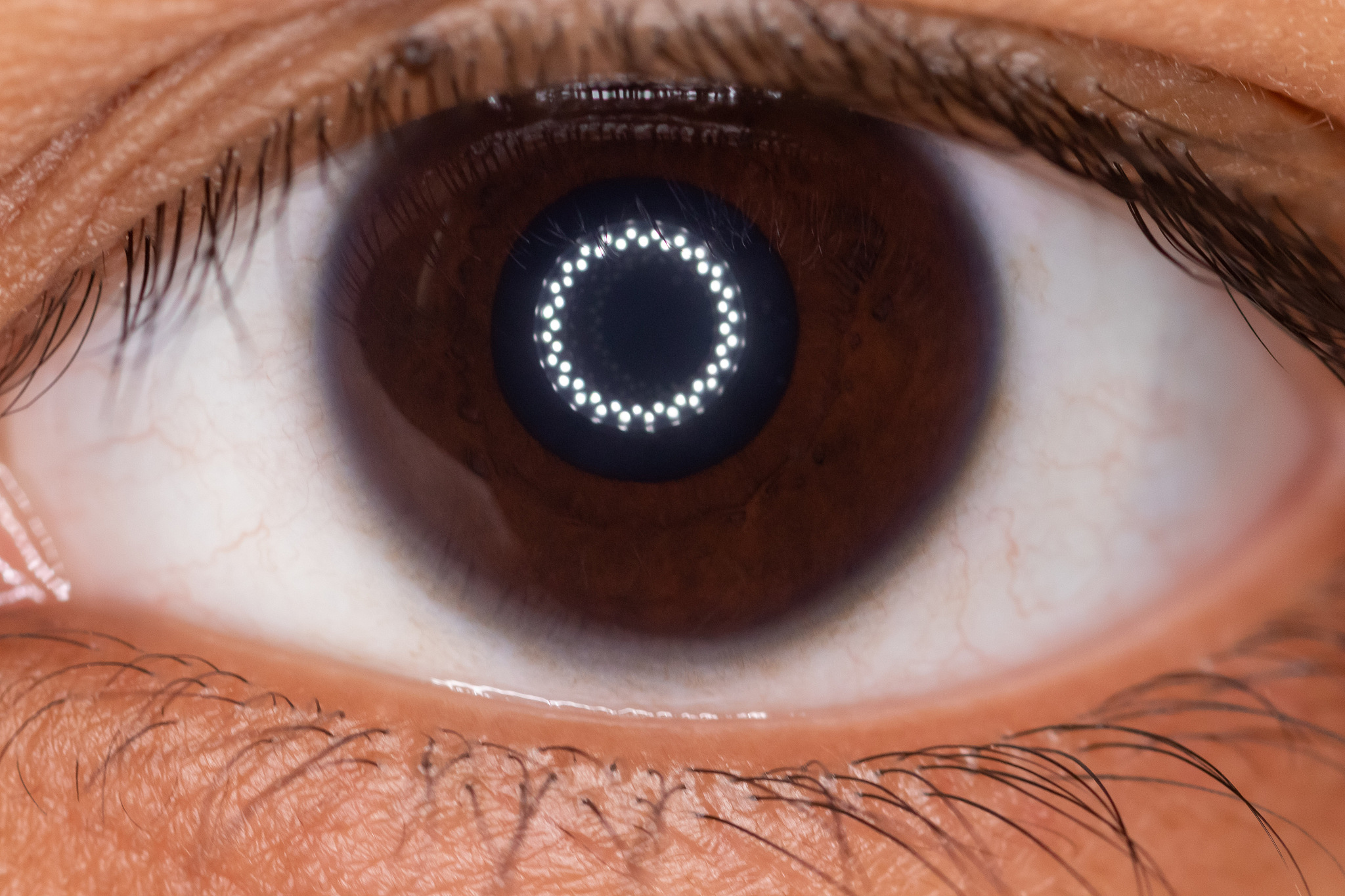 extreme close-up of human eye