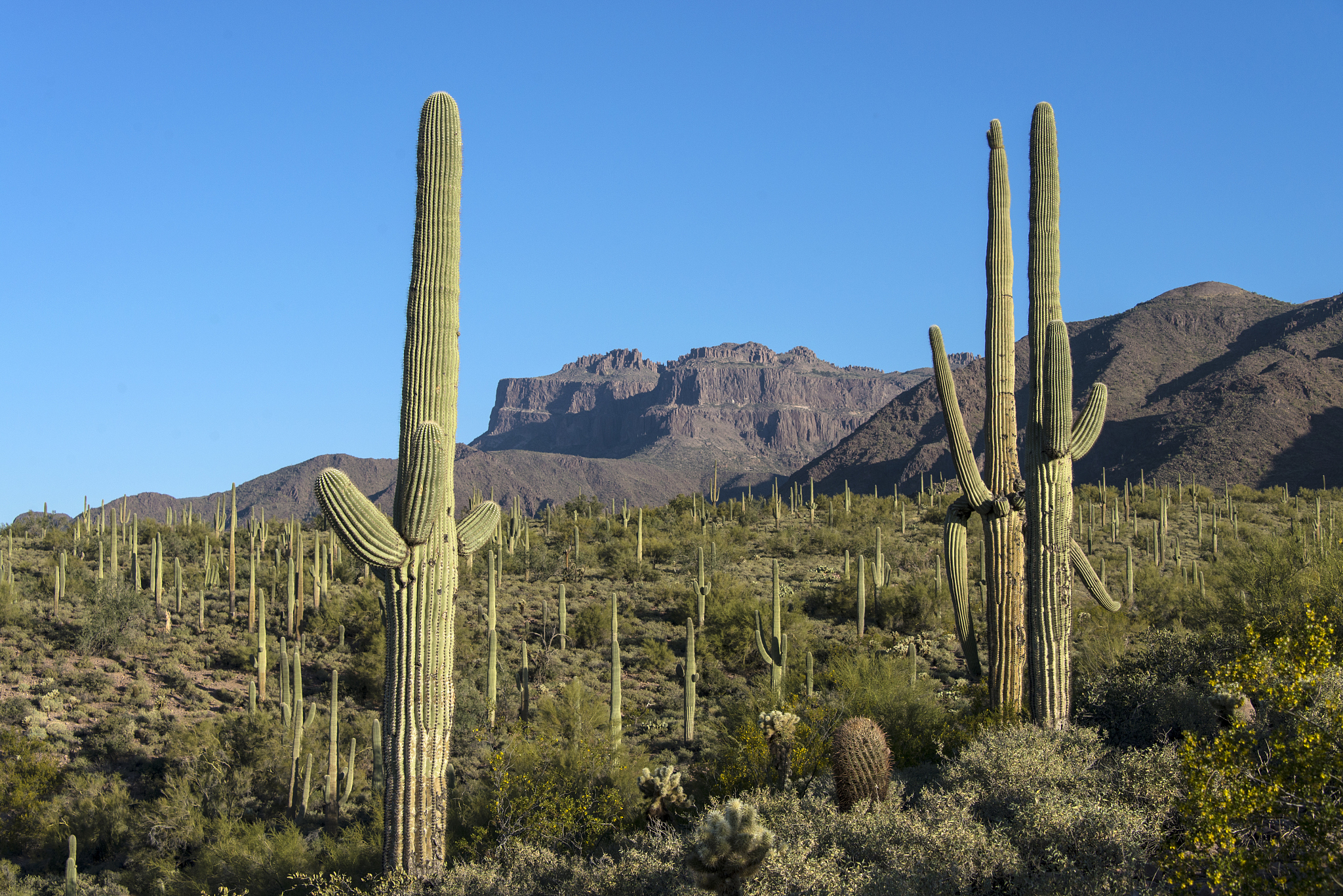 superstition mountains