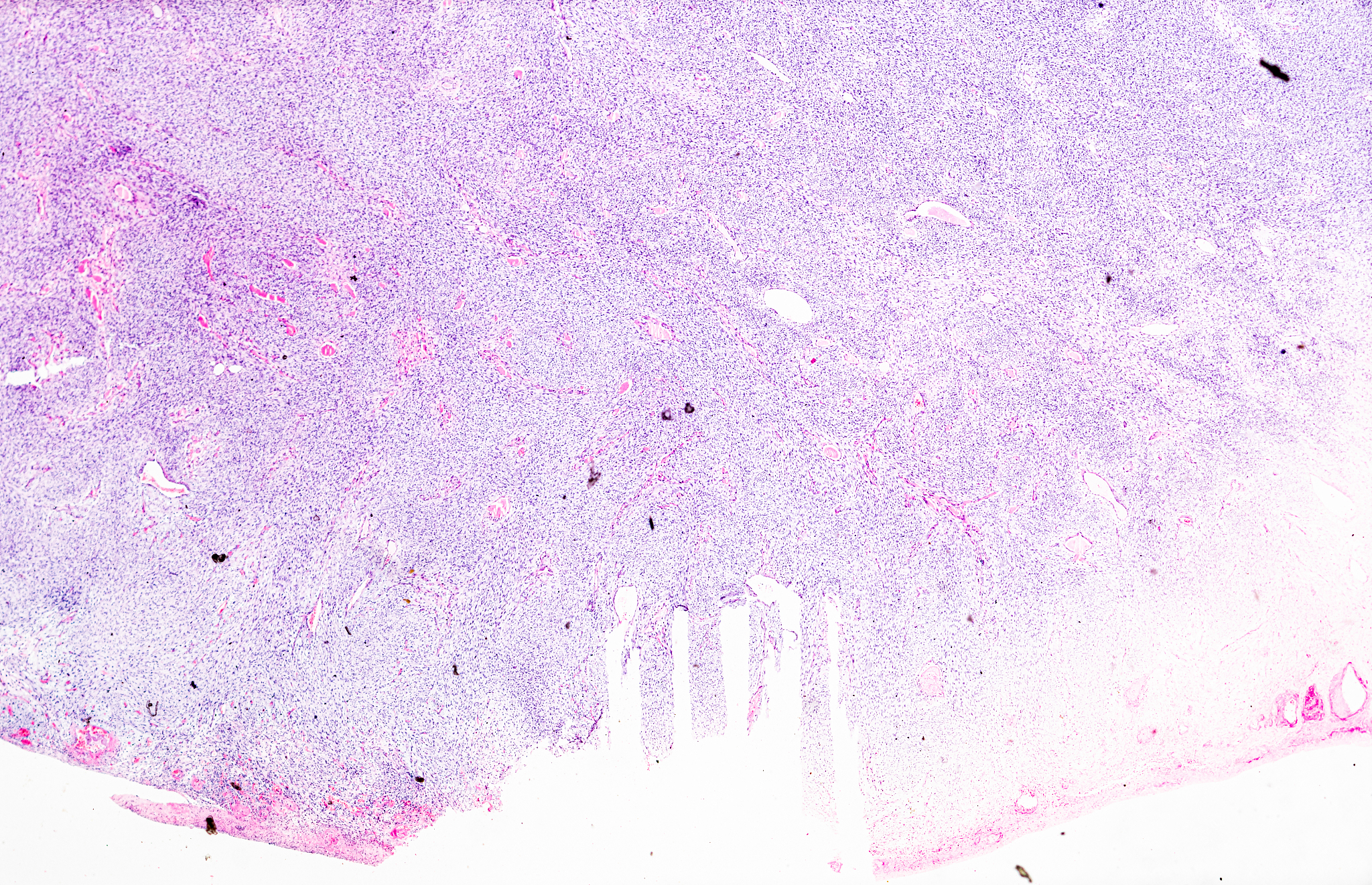 小学英语教学工作总结：提升学生英语水平的有效方法