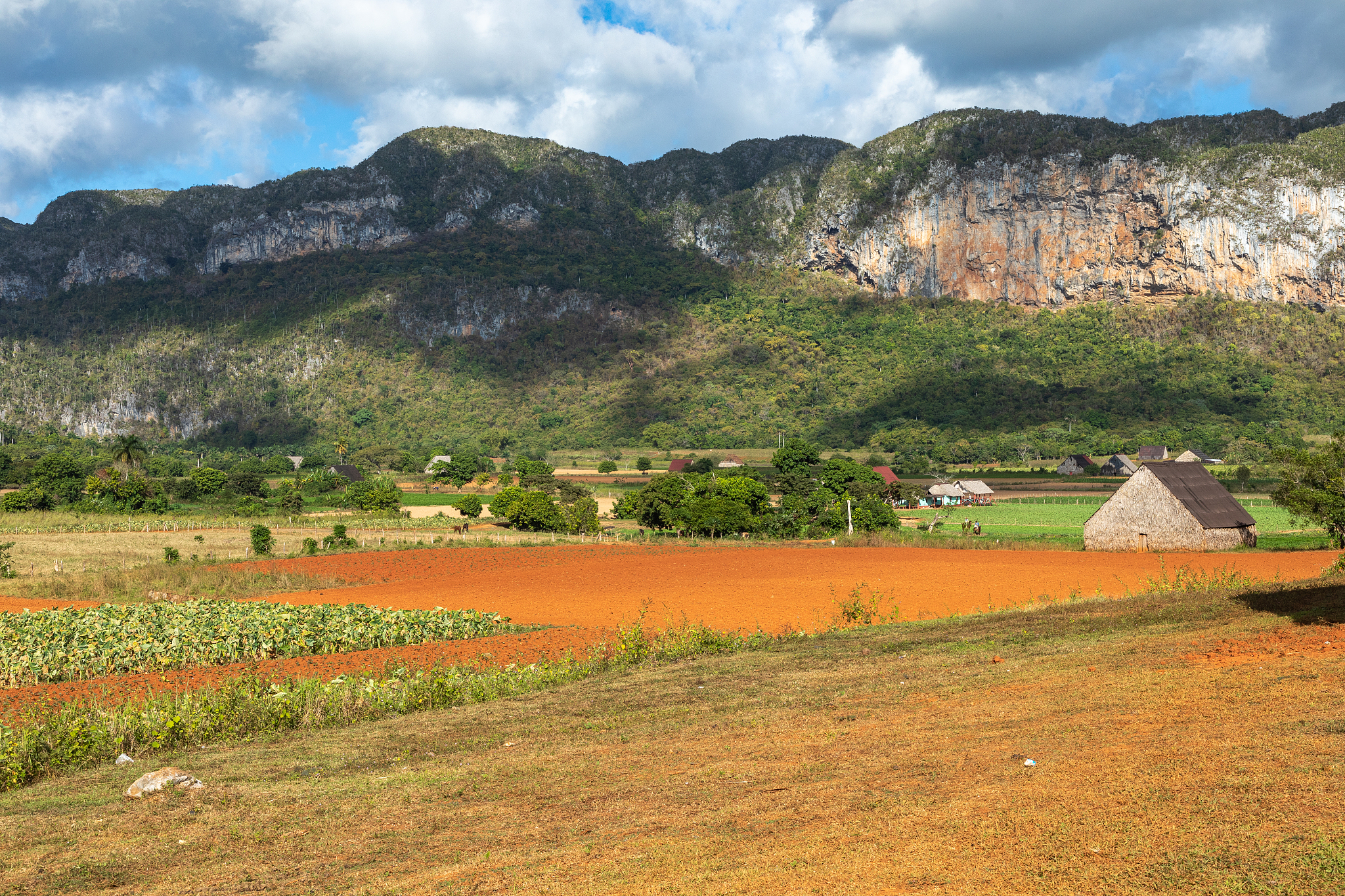 the vinales valley (valle de vinales), popular tourist destinati