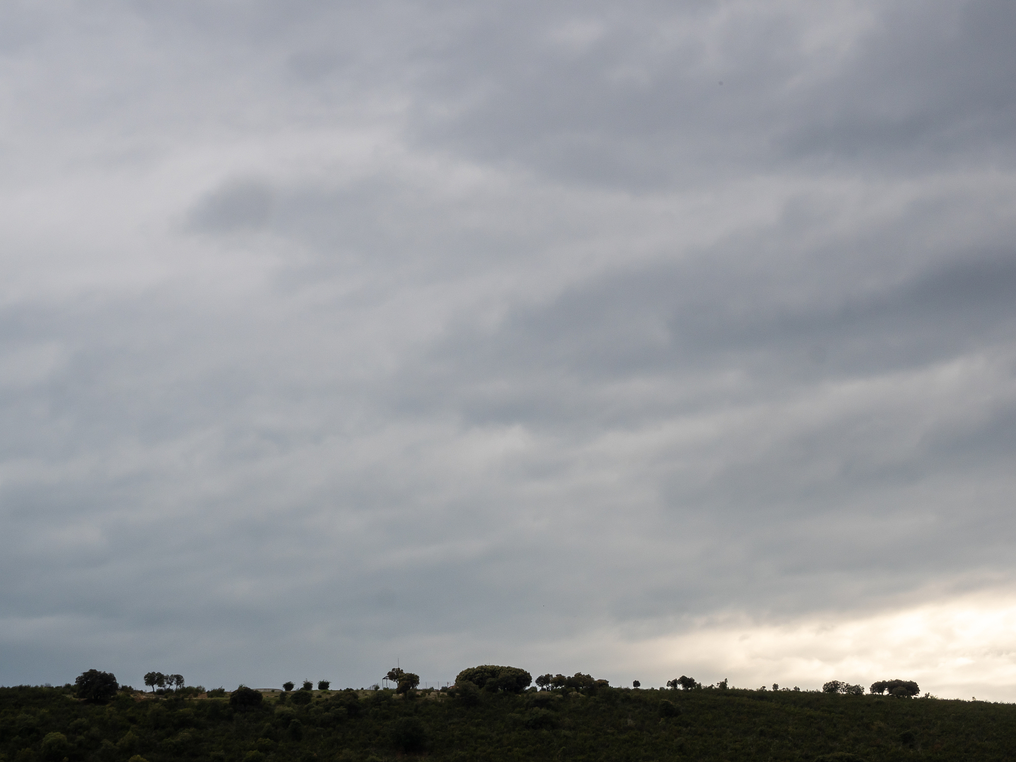 环境艺术设计专业就业前景