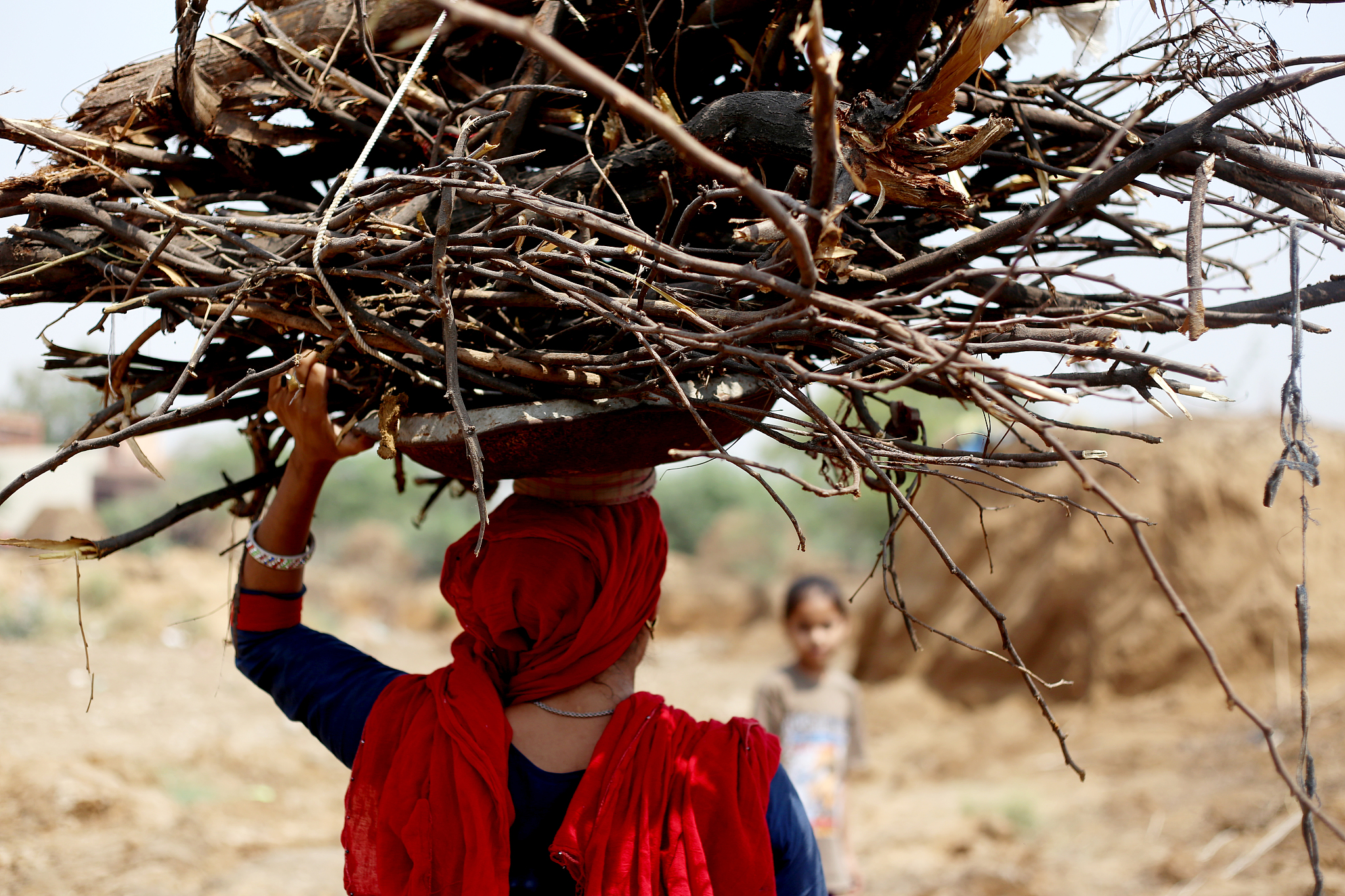 山西农业大学植物保护专业怎么样？师资、课程、实践、就业全面解析