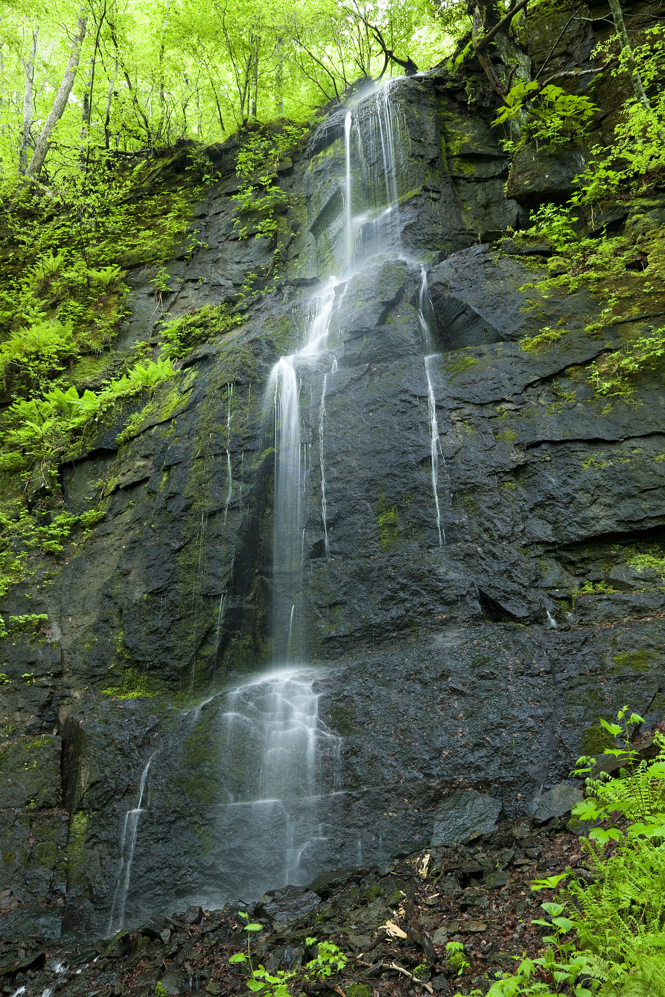 晋城职业技术学院旅游管理专业怎么样