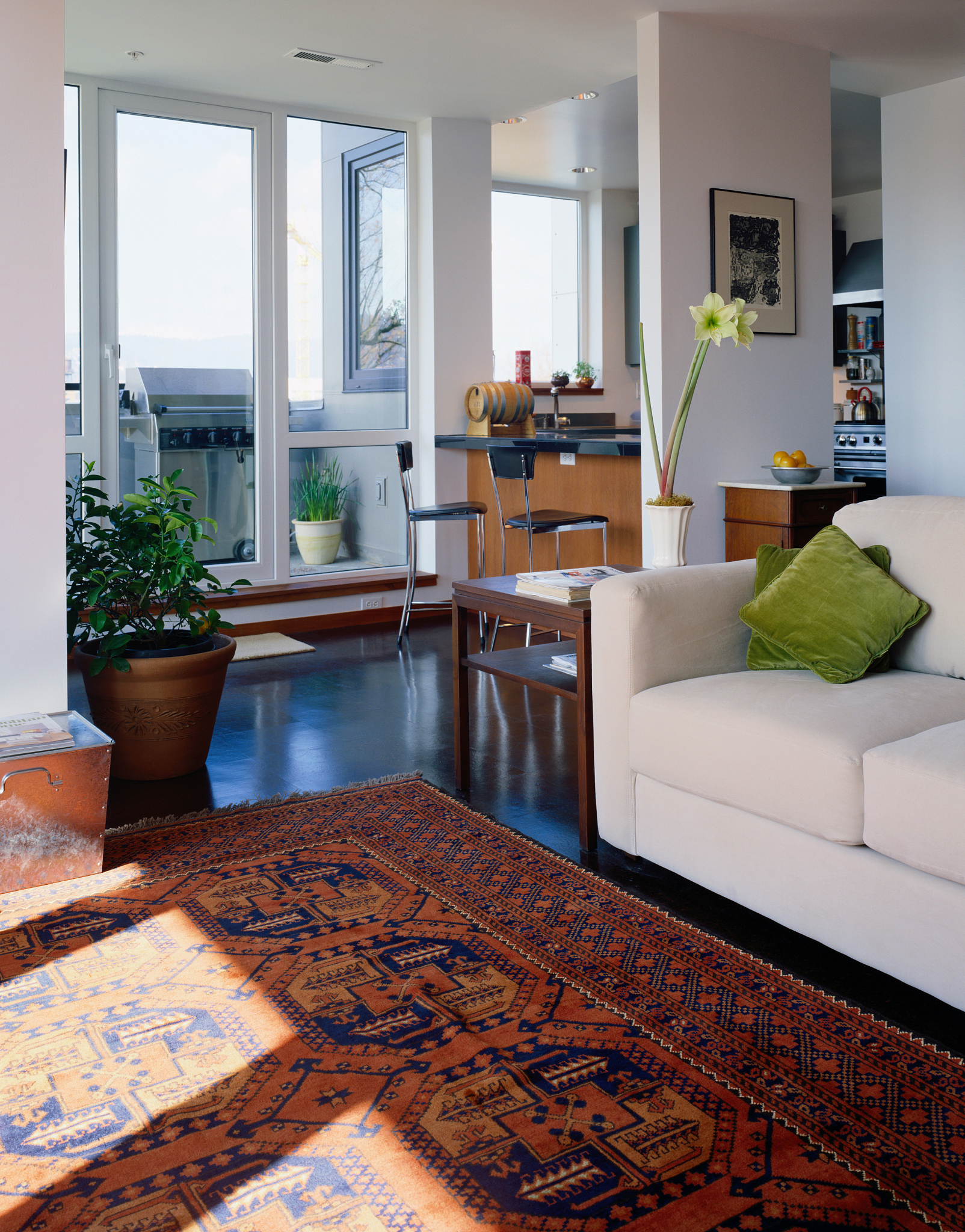 Urban vs. Rural Lifestyle: Why I Choose Rural Living