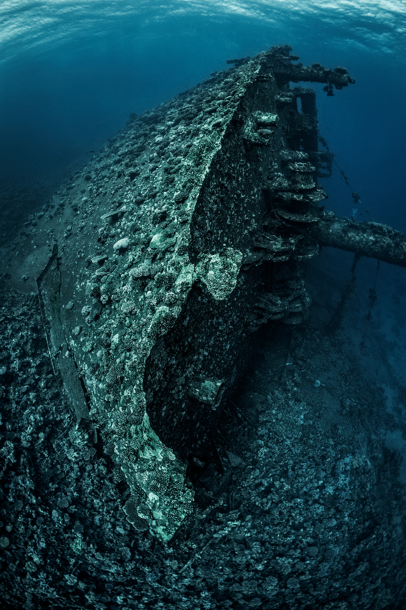 shipwreck of a large nautical vessel lying on it's side at the b
