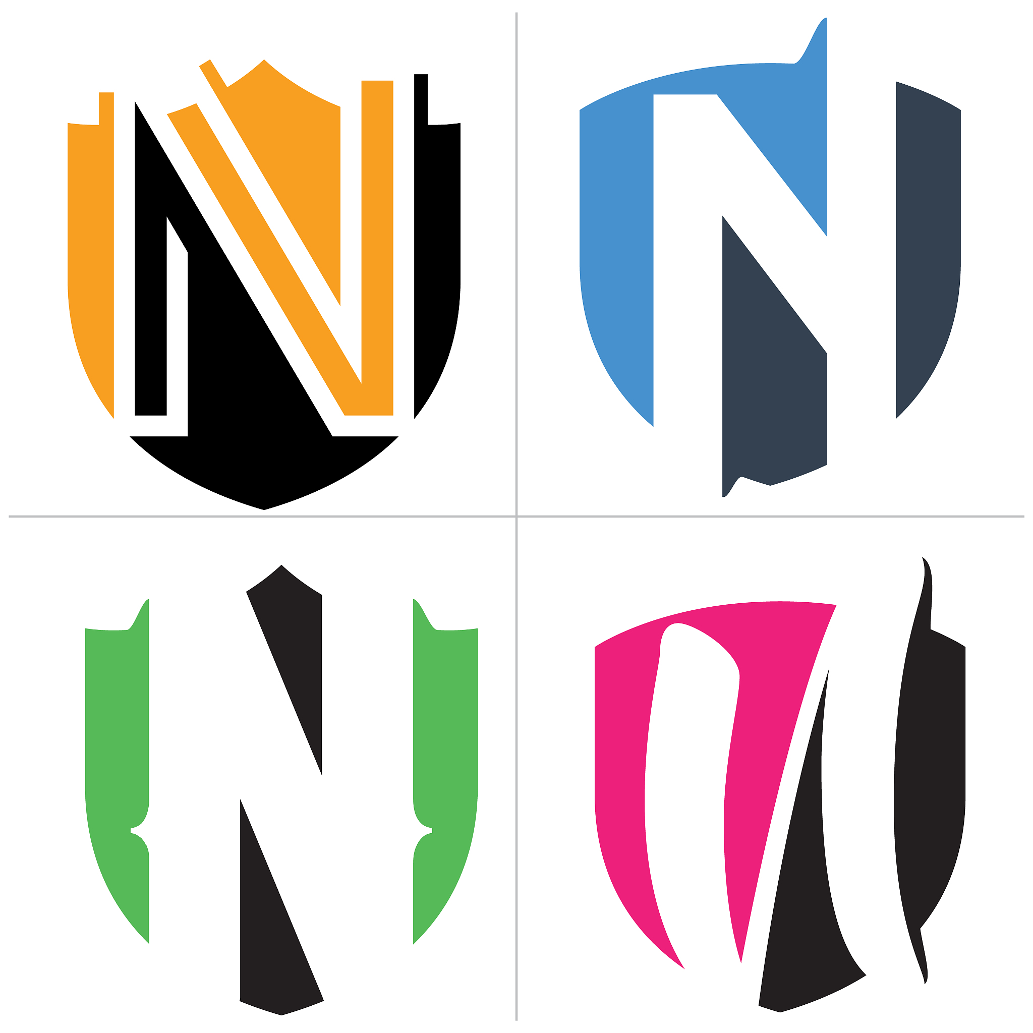 n letter icon design. letter n in shield vector illustration. sa
