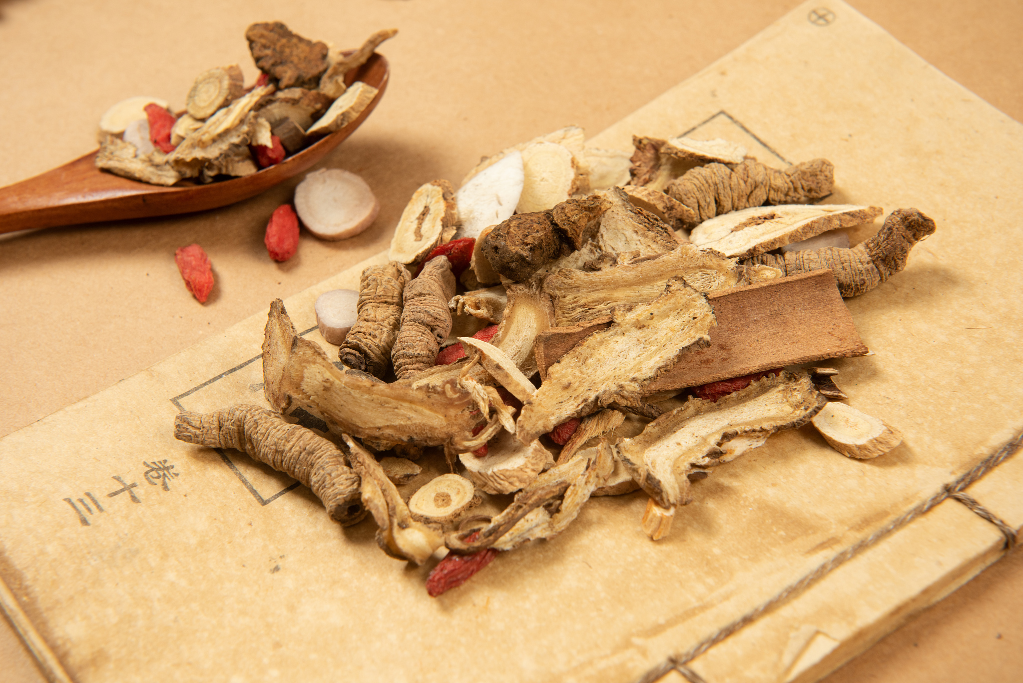 甘肃中医学院专业设置详解：探索中医药学人才培养之路