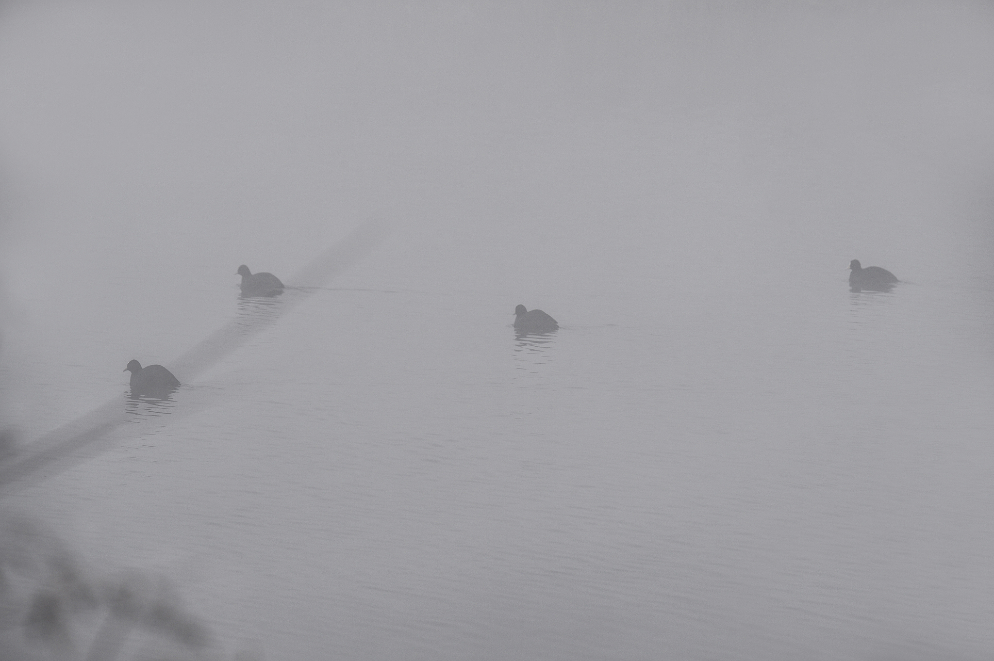 渔舟唱晚，响穷彭蠡之滨。下一句