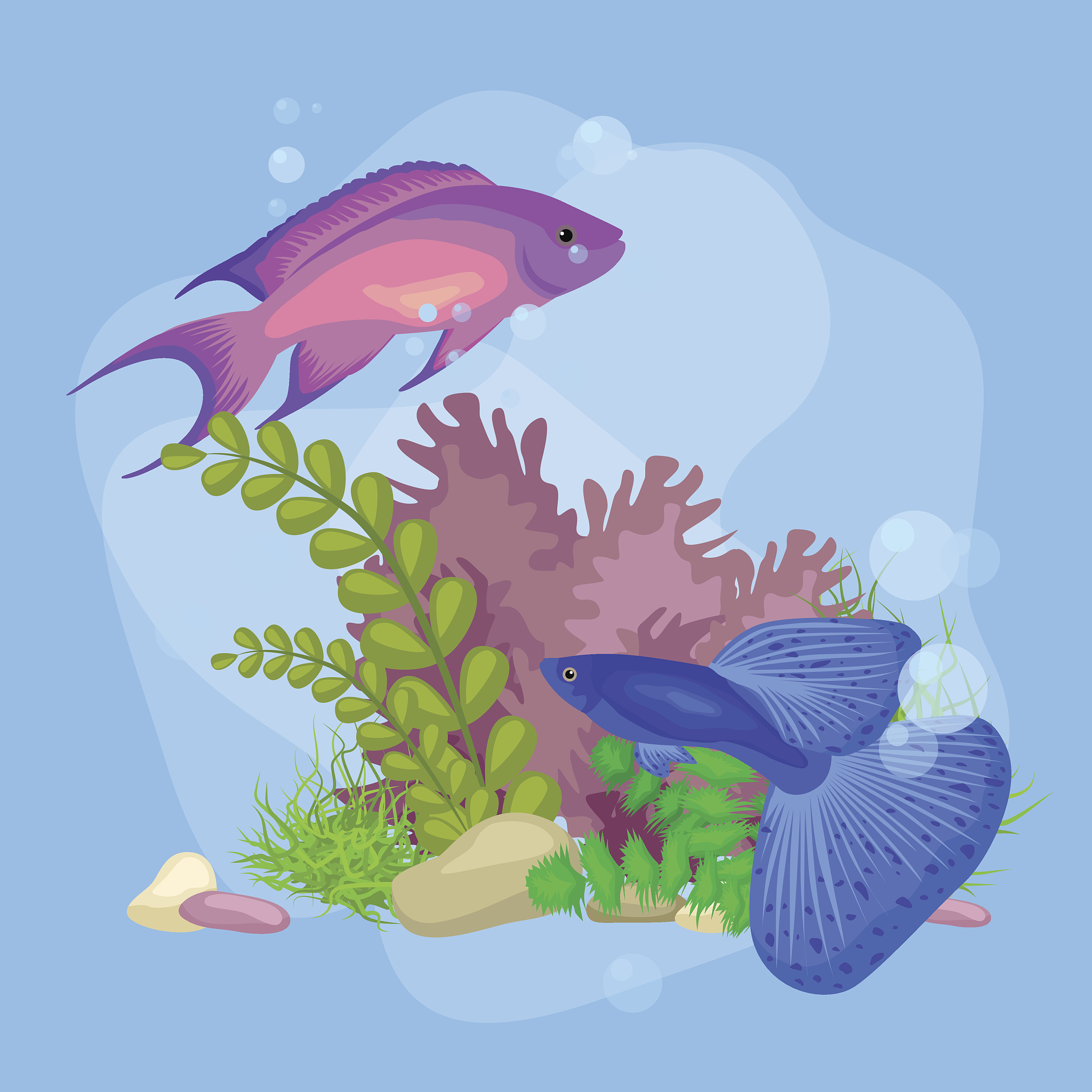 underwater vector world background with fish, seaweed and bubble