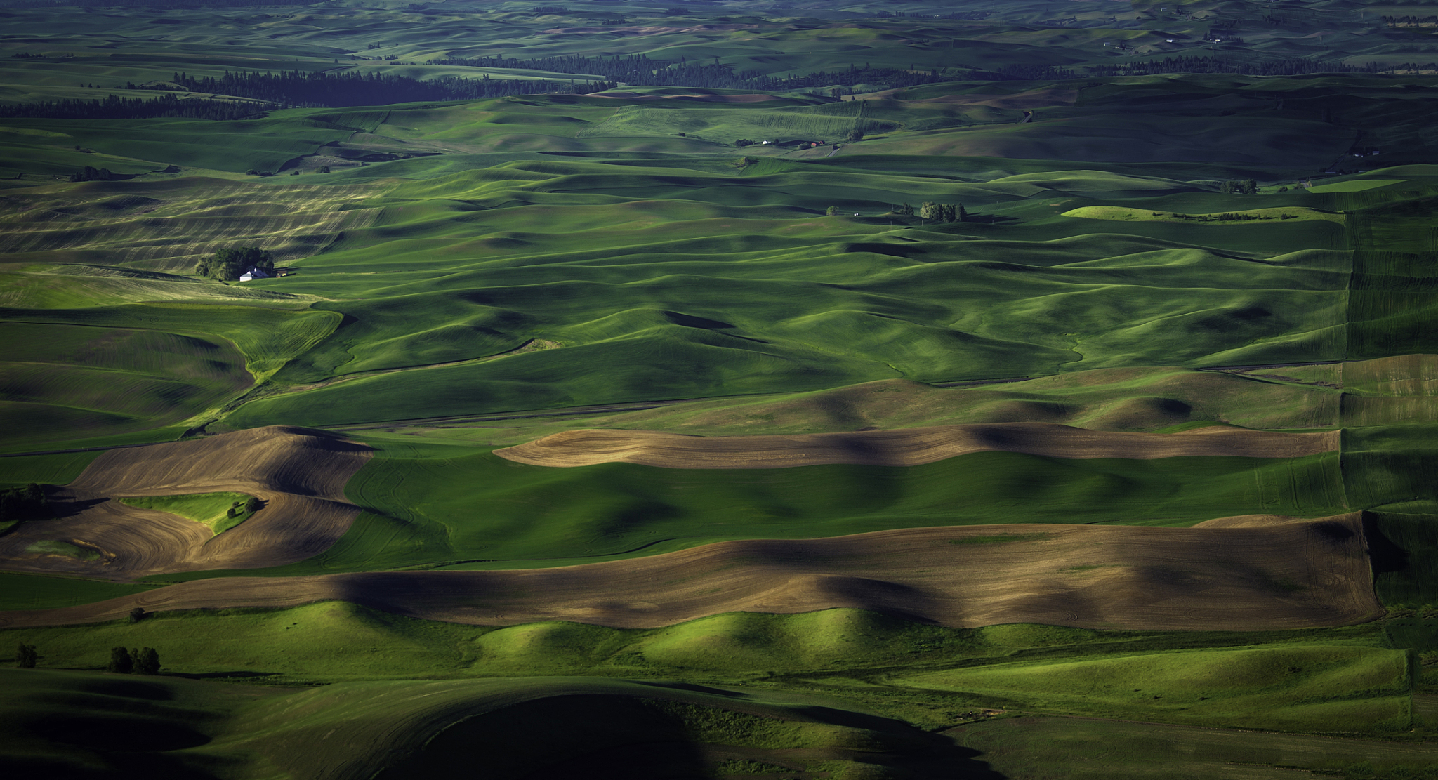 palouse rolling hills
