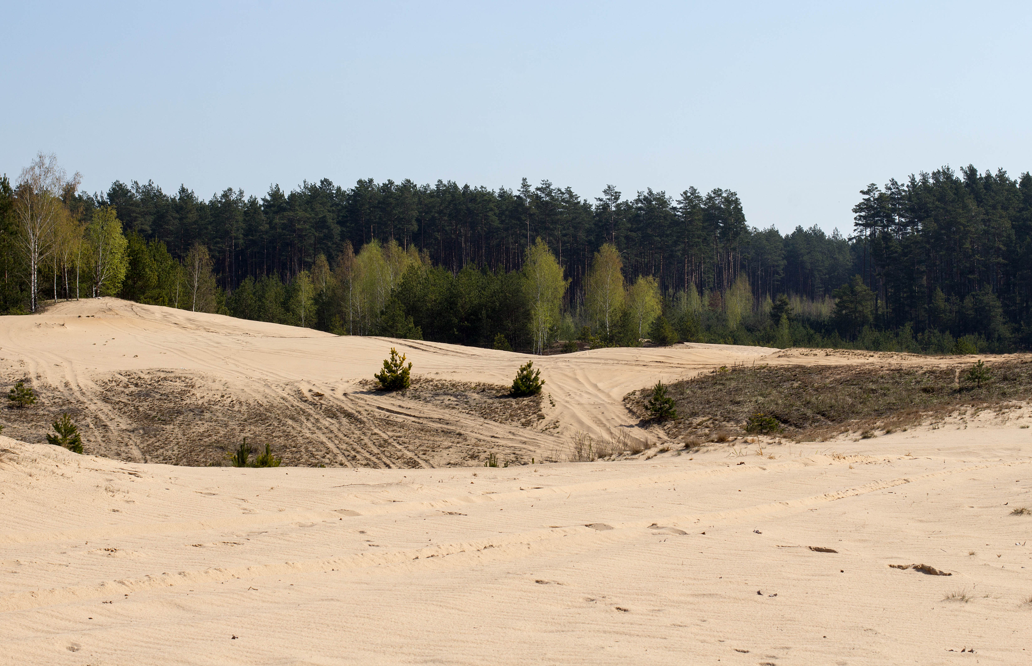 landscape