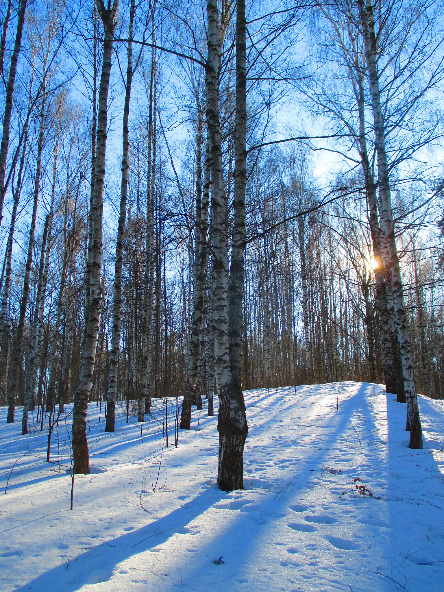 地铁逃离伏尔加河列车：攻略指南，教你如何开走列车！