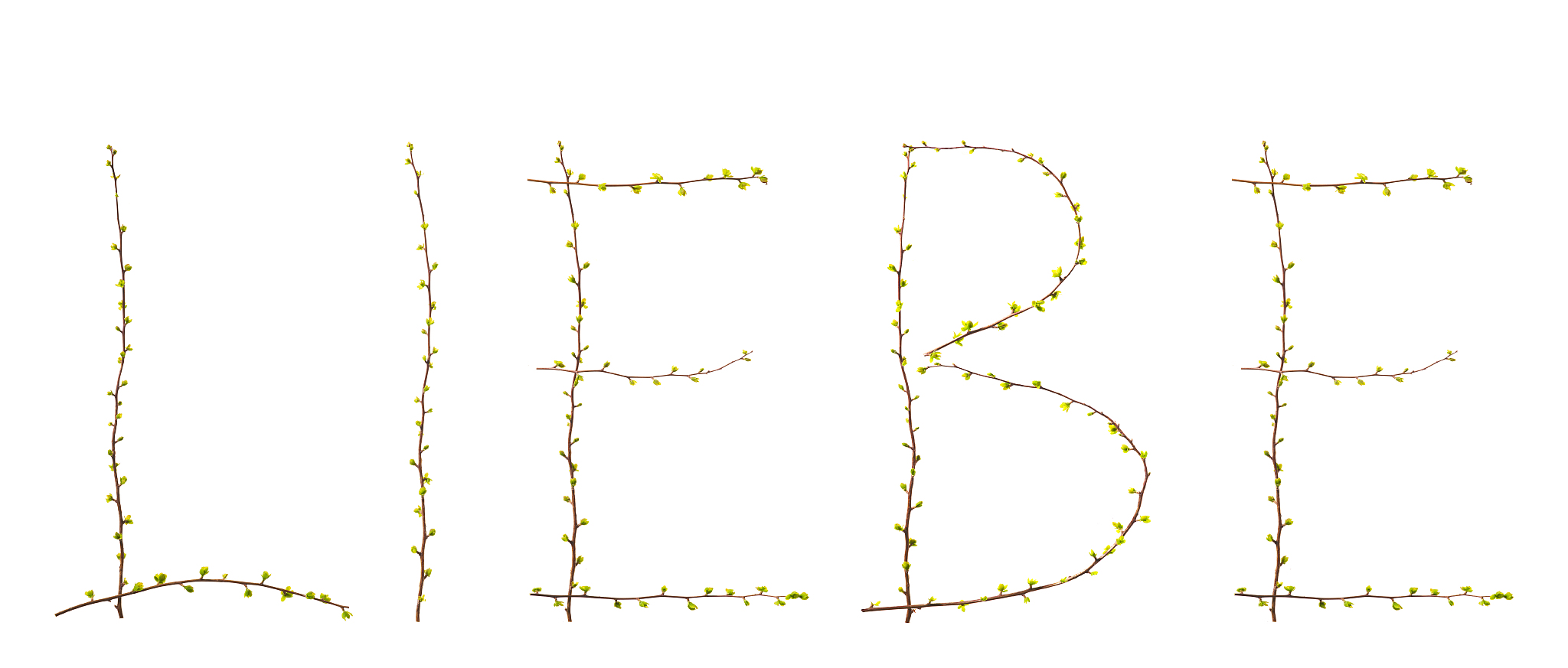 love branches with leaves