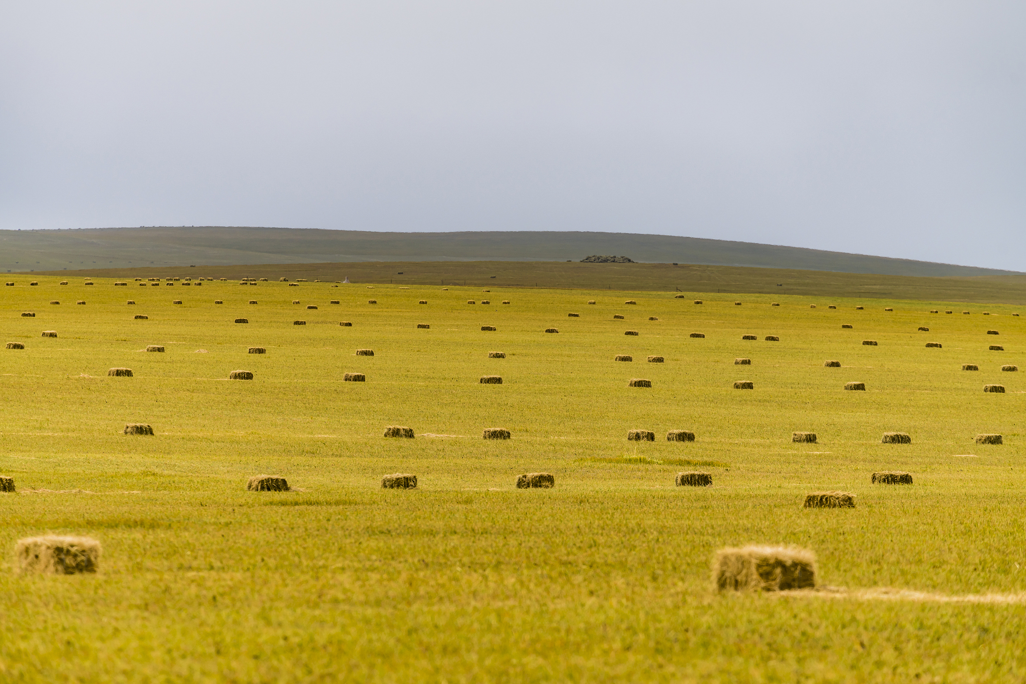 根据毕业设计题目：情牵草原欢笑满城——内蒙古六日亲子游线路设计方案长沙出发具体分析本次毕业设计的设计要求