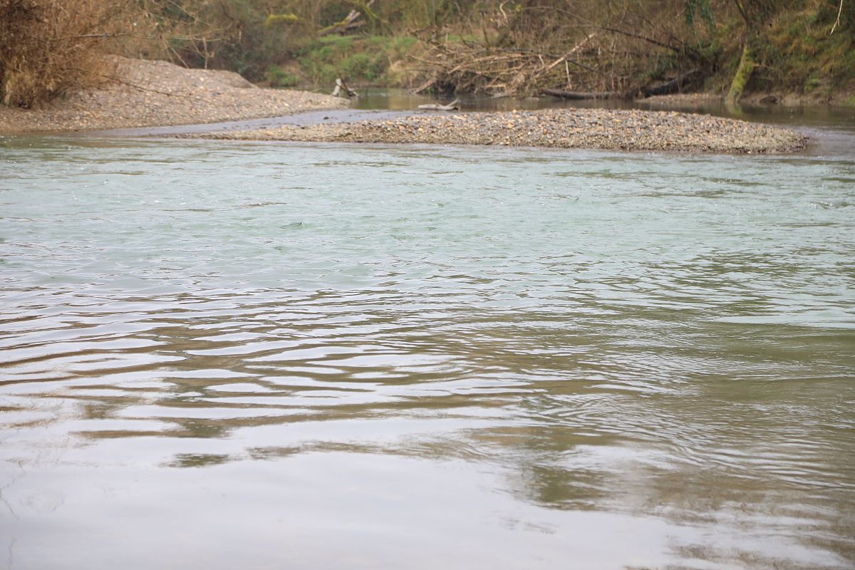 马家沟河水质污染严重，如何改善生态环境？