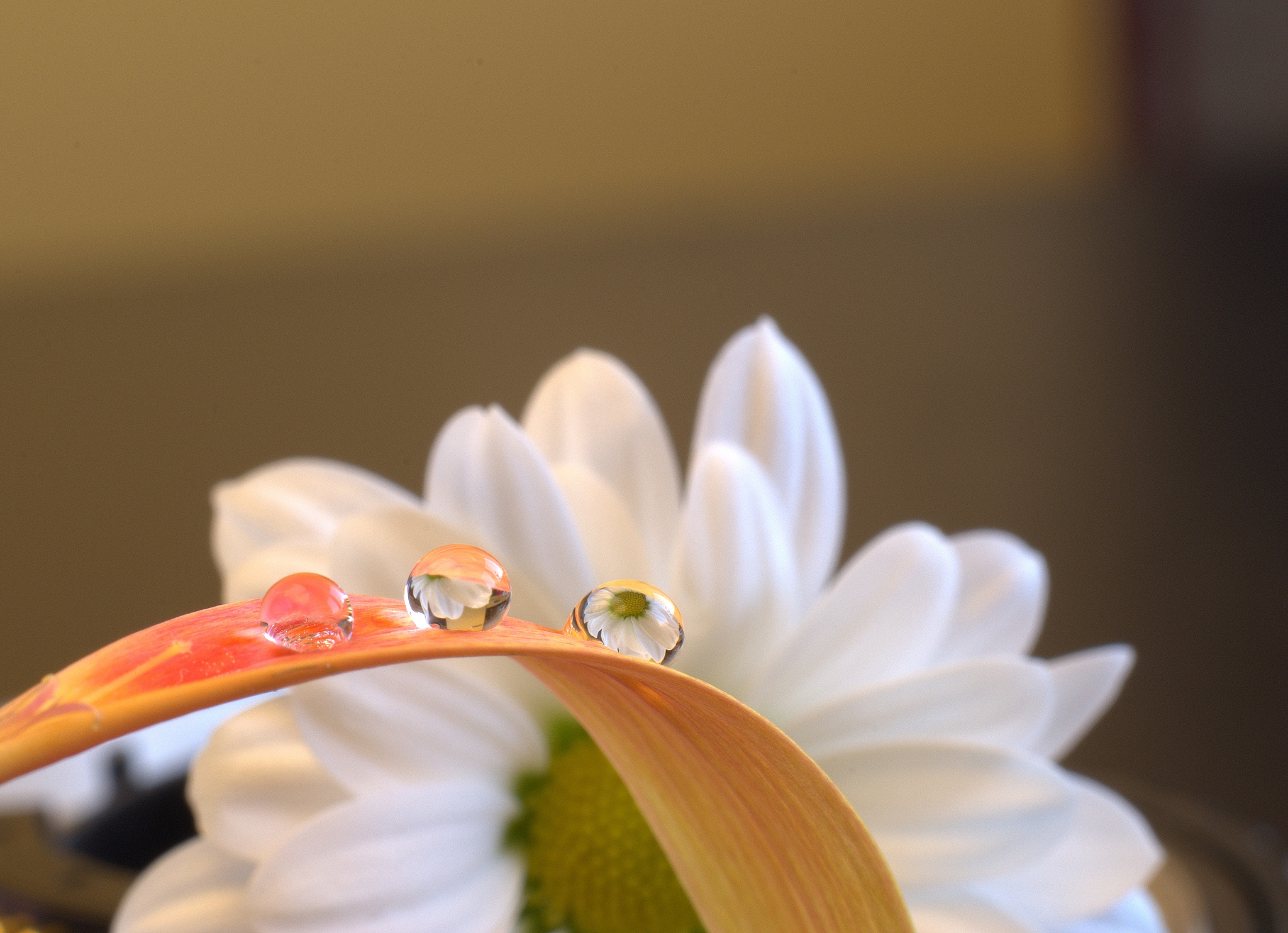 光圈跟景深的控制有什么关系