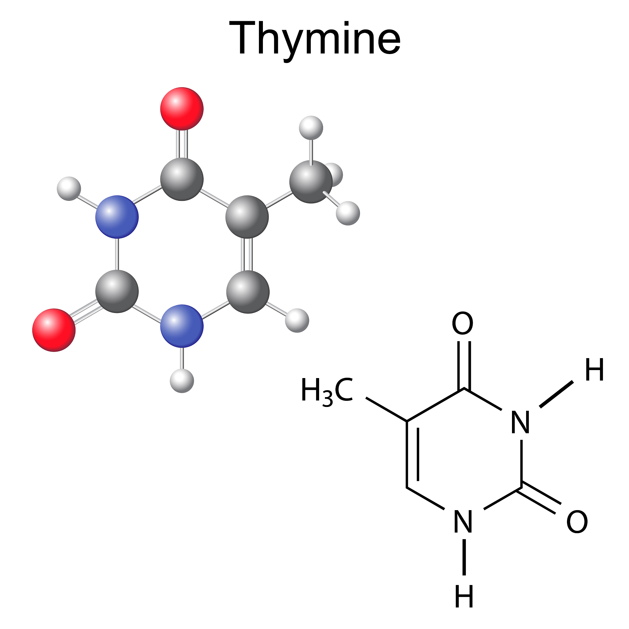 0.2 M Magnesium Chloride Hexahydrate, 0.1 M Sodium Citrate Tribasic Dihydrate pH 5.0, 10% w/v Polyethylene Glycol 20,000