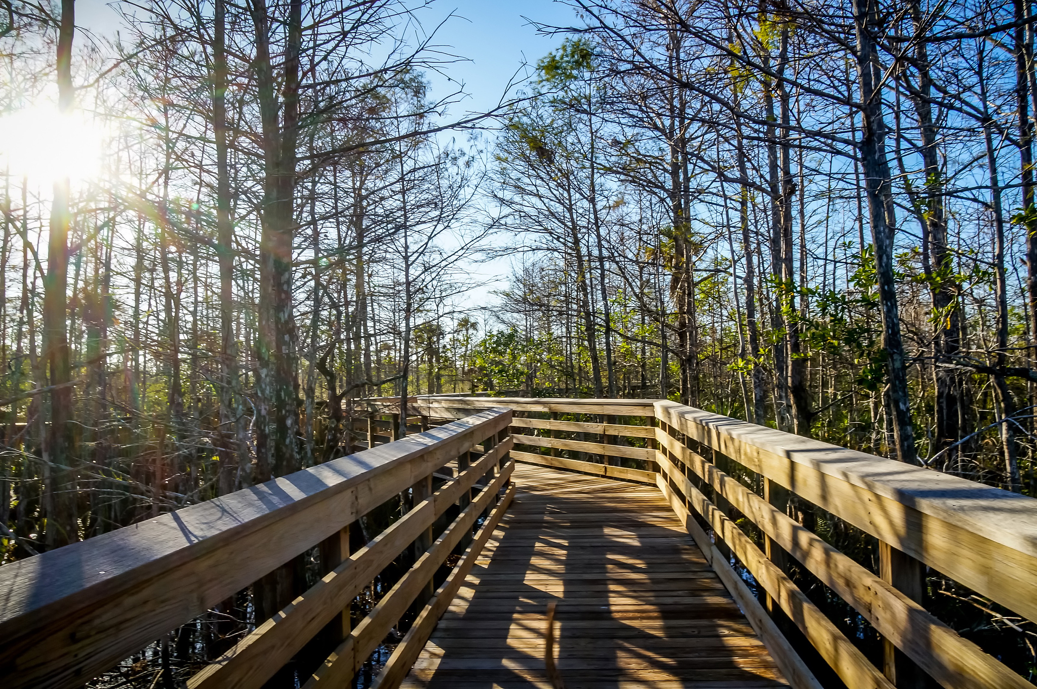 借鉴美国经验，构建中国国家公园视觉资源管理模式