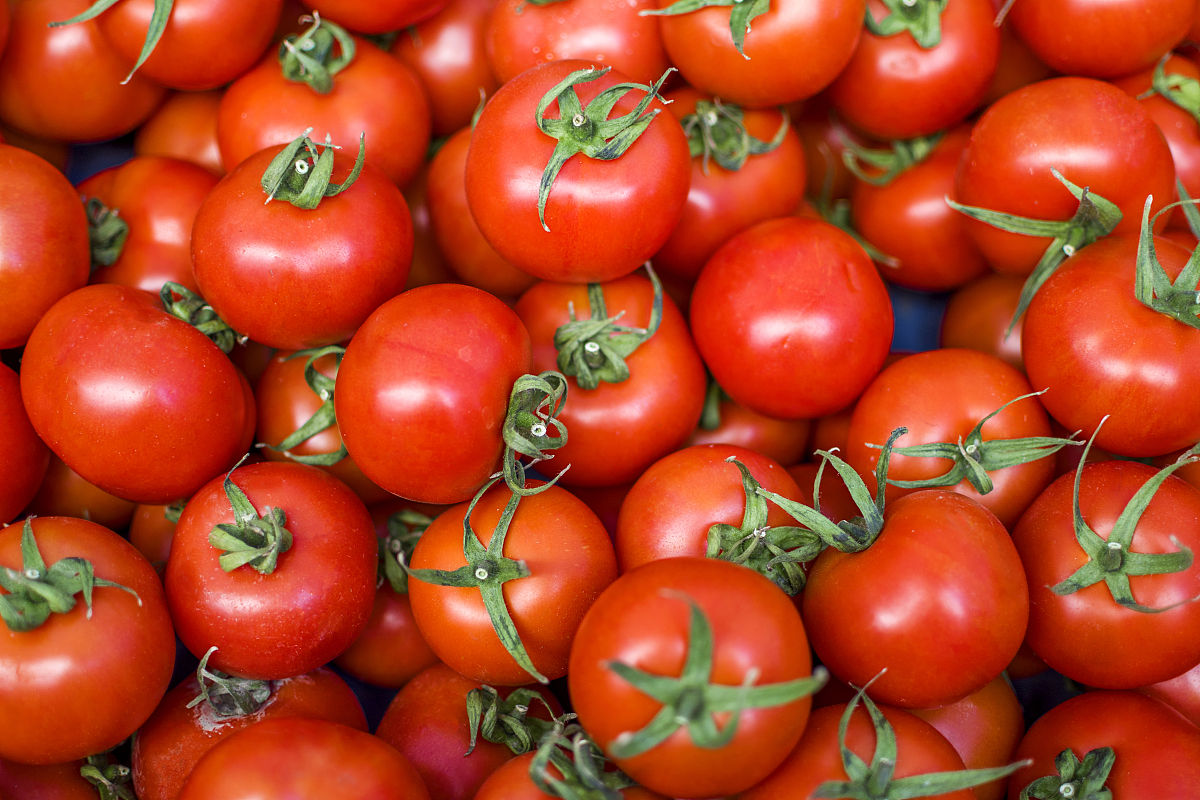 宁夏职业学校电子商务专业就业方向好吗？就业前景如何？